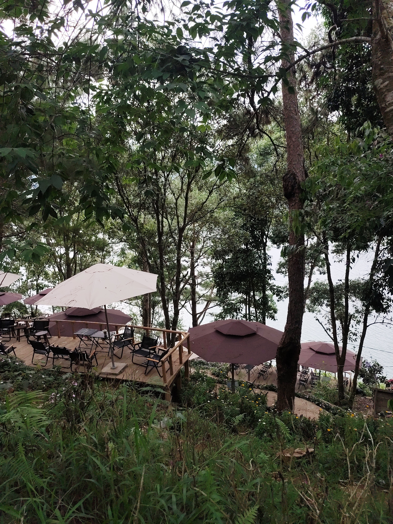 The image depicts an outdoor dining area in Da Lat, Vietnam. A wooden deck with tables and chairs sits under a large white umbrella and several smaller maroon umbrellas. The dining area overlooks a body of water, likely a lake or reservoir, visible through the trees. The vegetation is lush, with ferns and other greenery in the foreground and dense foliage forming a canopy above. No people are visible in the scene.