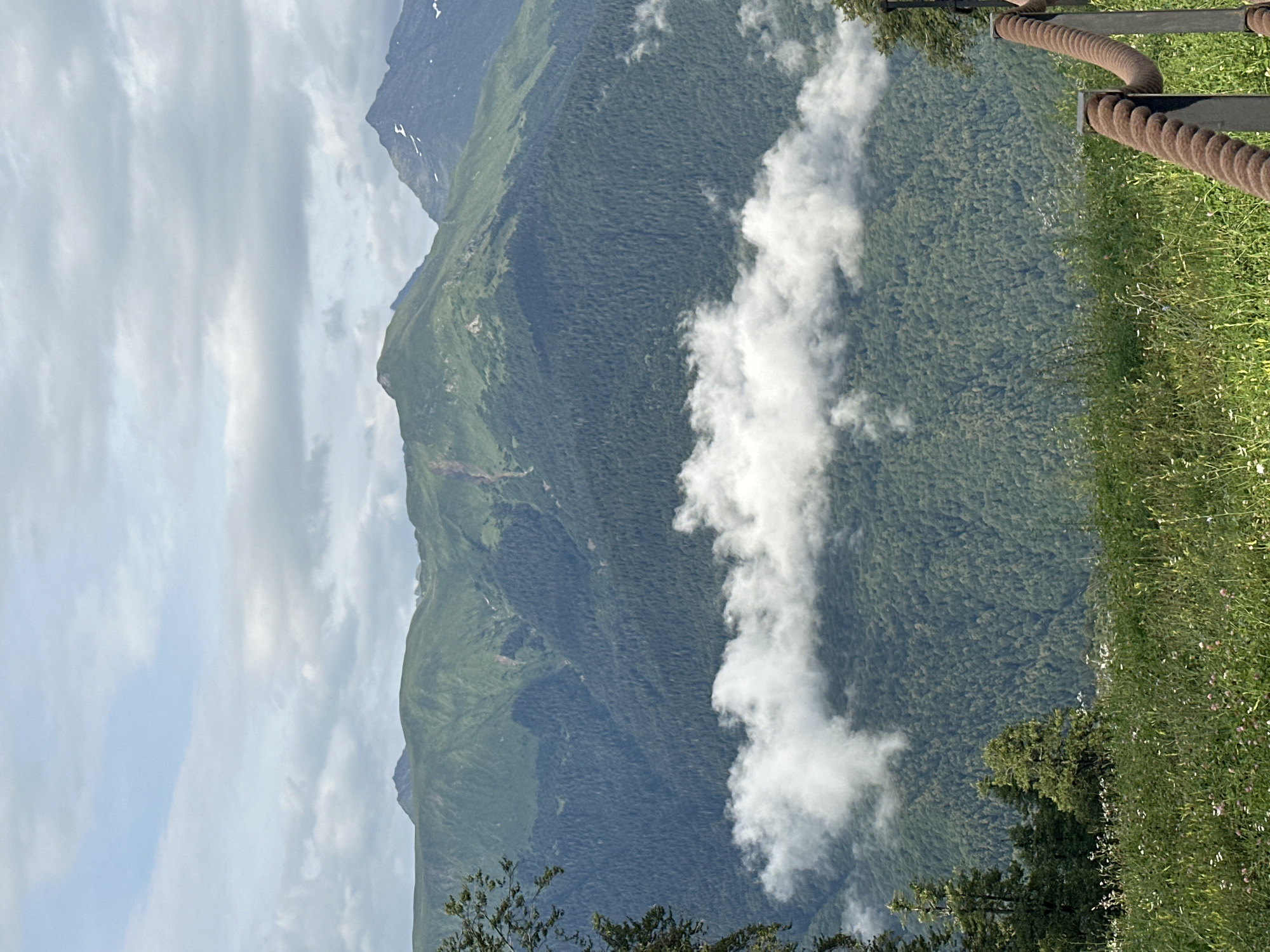 This is a vertical, eye-level, medium shot of a mountain landscape in Estosadok, Russia. The foreground features a grassy meadow with scattered white and pink flowers, leading up to a rough-spun brown rope railing attached to dark metal posts, suggesting a viewing area or walkway. Behind the railing, dense green trees cover the lower slopes of the mountains. A band of white clouds hangs mid-mountain, obscuring some of the trees. The upper slopes of the mountains are covered in lush green vegetation, with some rocky peaks visible at the very top. The sky above is a pale blue, filled with scattered white clouds. The overall atmosphere is serene and natural.