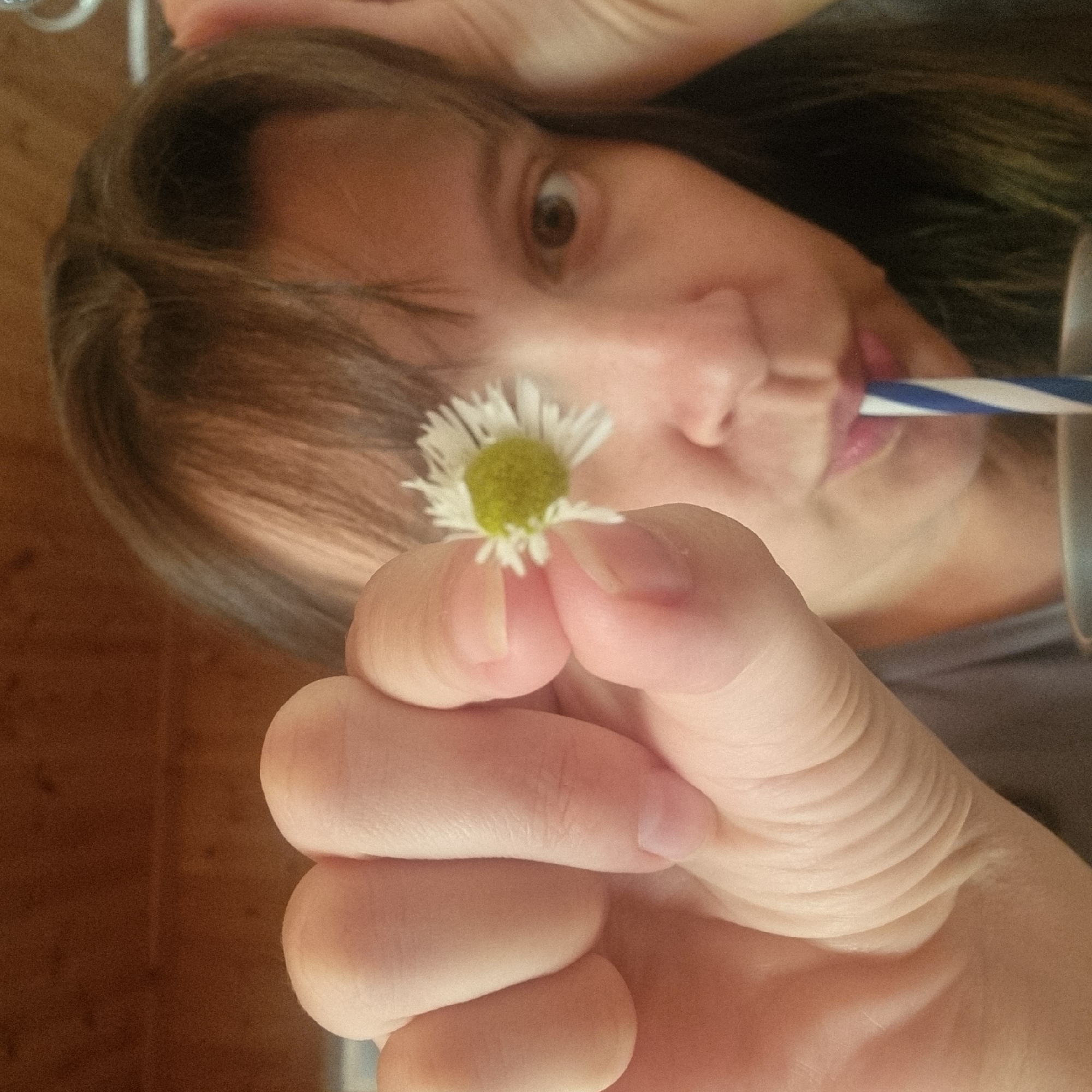 A person is holding a small white flower with a yellow center up to the camera. The flower is in focus in the foreground, with the person's face blurred in the background. The person's hand, with visible finger creases, is on the left side of the frame, holding the flower between their thumb and forefinger. A striped blue and white straw is visible, entering the person's mouth from the bottom right of the frame, suggesting they are drinking from a cup, the edge of which is also visible at the bottom. The person has medium-length brown hair, some of which is falling forward, and they are looking towards the camera. The background appears to be a wooden wall, possibly inside a building. There is no indication of the city of Dunnae-myeon, South Korea in the image.
