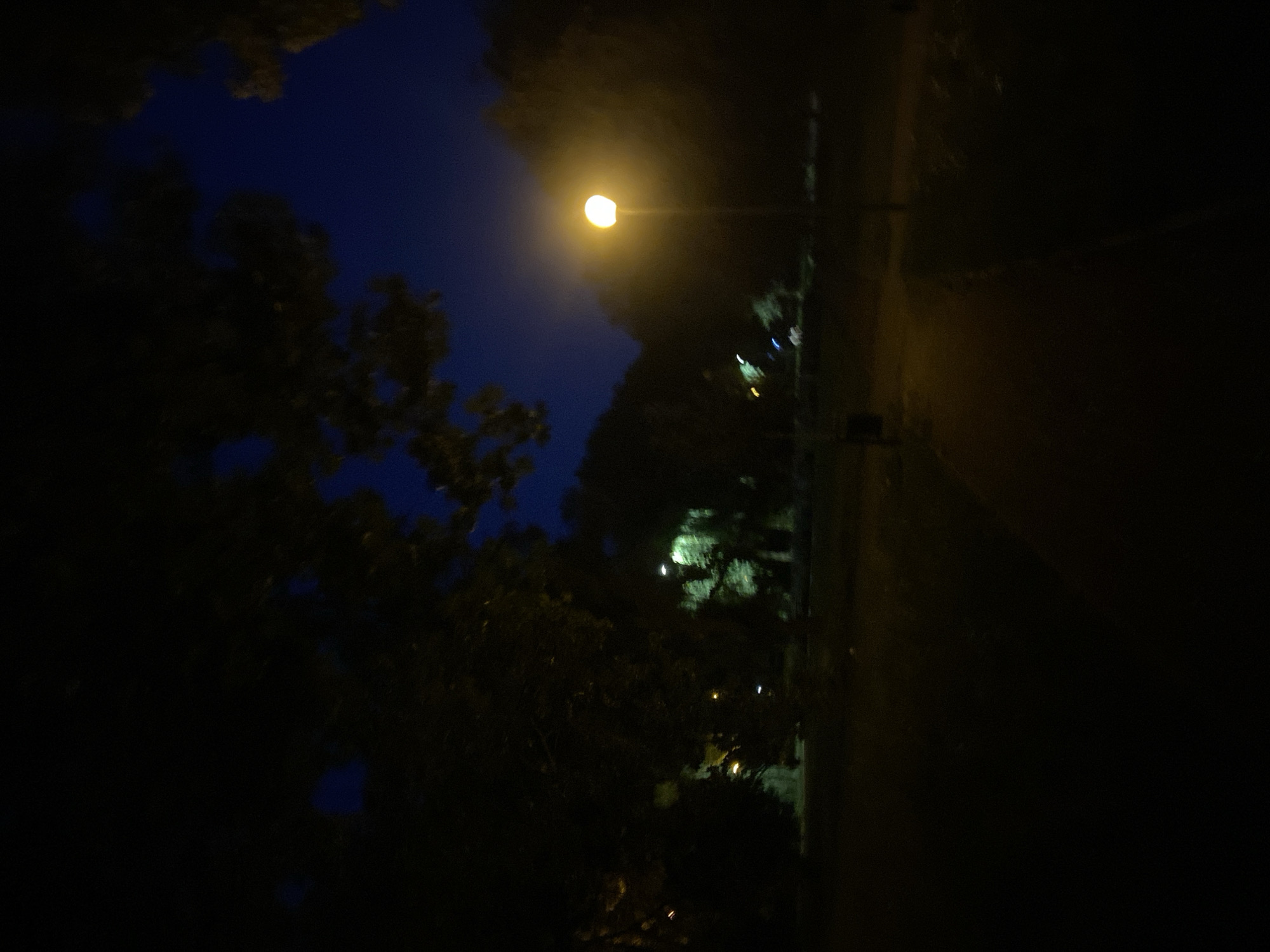A park path illuminated by a single, glowing streetlight at dusk or night. The sky is a deep, dark blue, suggesting twilight or night. Silhouetted trees and foliage frame the scene, with some lighter patches indicating other distant lights or areas of illumination within the park. The ground is dark, with a pathway visible in the foreground. There are no people or animals immediately visible in the frame. The overall impression is one of a quiet, dimly lit public space.