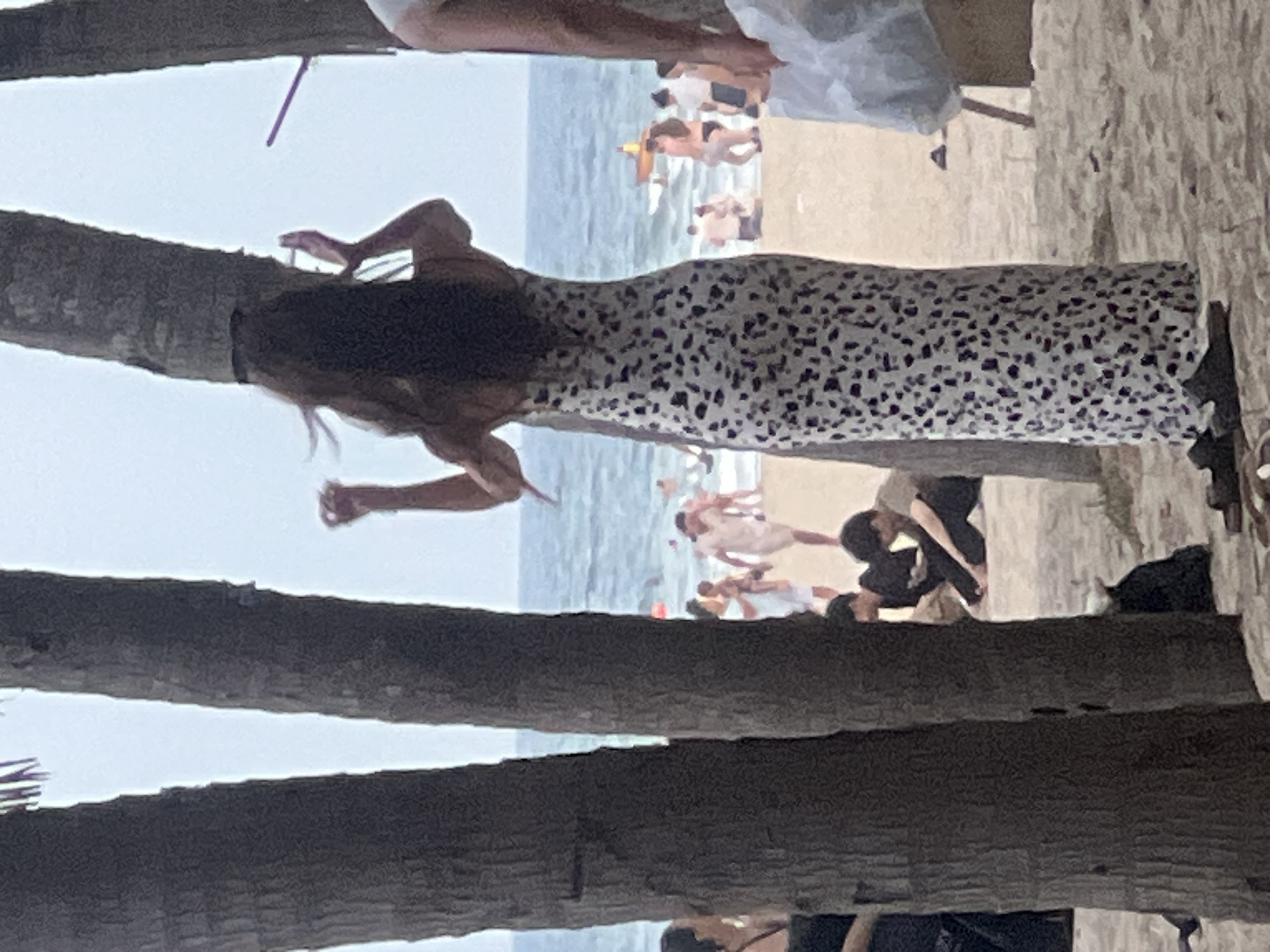 The image depicts a lively beach scene in Đà Nẵng, Vietnam. In the foreground, parts of palm trees frame the view, suggesting a tropical location. The main subject is a woman in a patterned maxi dress with a leopard-like print. She is positioned on the left side of the image, leaning back and extending her arms. Her hair is dark and falls over her shoulders.
In the background, the ocean meets a sandy beach where numerous people are gathered. The water appears calm and blue, with gentle waves. The beach is populated with individuals engaged in various activities, though the details are somewhat blurred due to the distance and image quality. Some people are standing, others appear to be walking or interacting. The overall atmosphere seems to be one of a sunny day, possibly late afternoon given the lighting. The presence of beachgoers and the ocean setting indicate a recreational or social gathering. There are no visible text elements in the image.