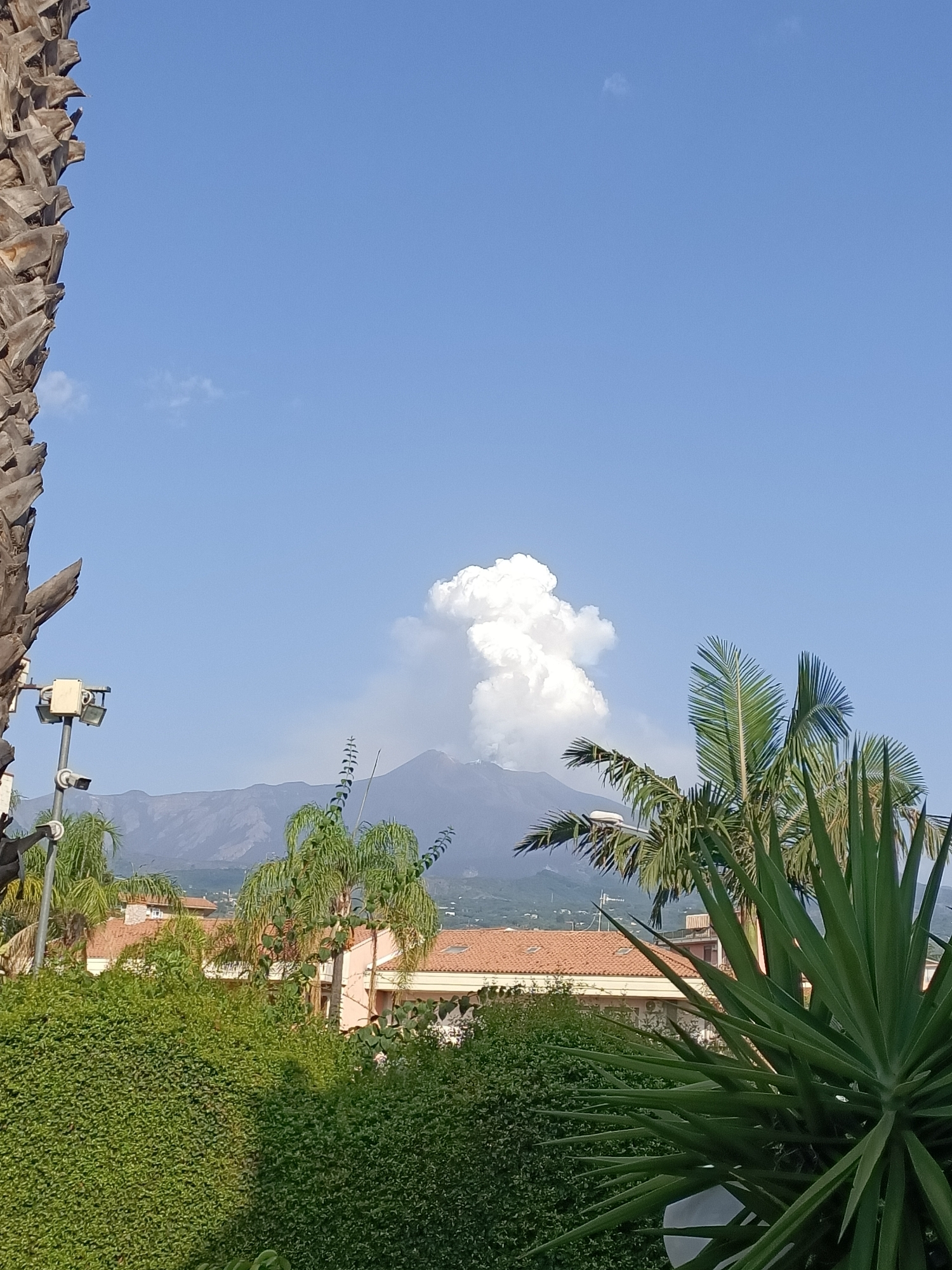 A wide-angle shot shows a bright blue sky with a large, puffy white cloud formation rising from behind a mountain range. In the foreground, the textured trunk of a palm tree is visible on the left side, and the spiky green leaves of a yucca plant dominate the right side. In the middle ground, there are buildings with terracotta roofs, lush green hedges, and palm trees. A lamppost with lights and security cameras is positioned in front of the buildings. The scene suggests a warm, sunny day in a vegetated area with a view of mountains.