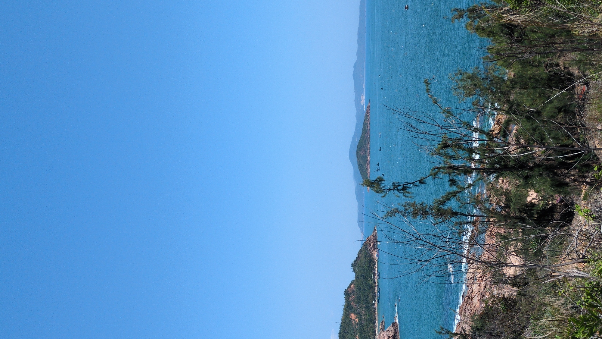 The image displays a coastal landscape in Tuy Phong 4, Vietnam, under a clear, unblemished light blue sky that occupies the upper half of the frame. An expansive body of calm, blue-green water fills the central portion, dotted with numerous small, dark-hulled fishing boats scattered across its surface. To the left, a rugged coastline features reddish-brown rock formations meeting the water, backed by a prominent, tree-covered hill with visible patches of reddish-brown earth; a small sandy beach is discernible at its base. In the mid-distance, multiple islands emerge from the water, the most distinct being a green, tree-covered landmass slightly right of center. Faint, hazy blue outlines of distant mountains or larger landmasses are visible on the far horizon. The immediate foreground is characterized by dense, unkempt vegetation, including several tall, slender trees with mostly bare branches and numerous darker green, pine-like trees, partially obscuring the lower edge of the coastline and sea. The ground beneath this foreground vegetation is dry, uneven, and covered with sparse grasses and rocks. No individuals or overt actions are discernible.