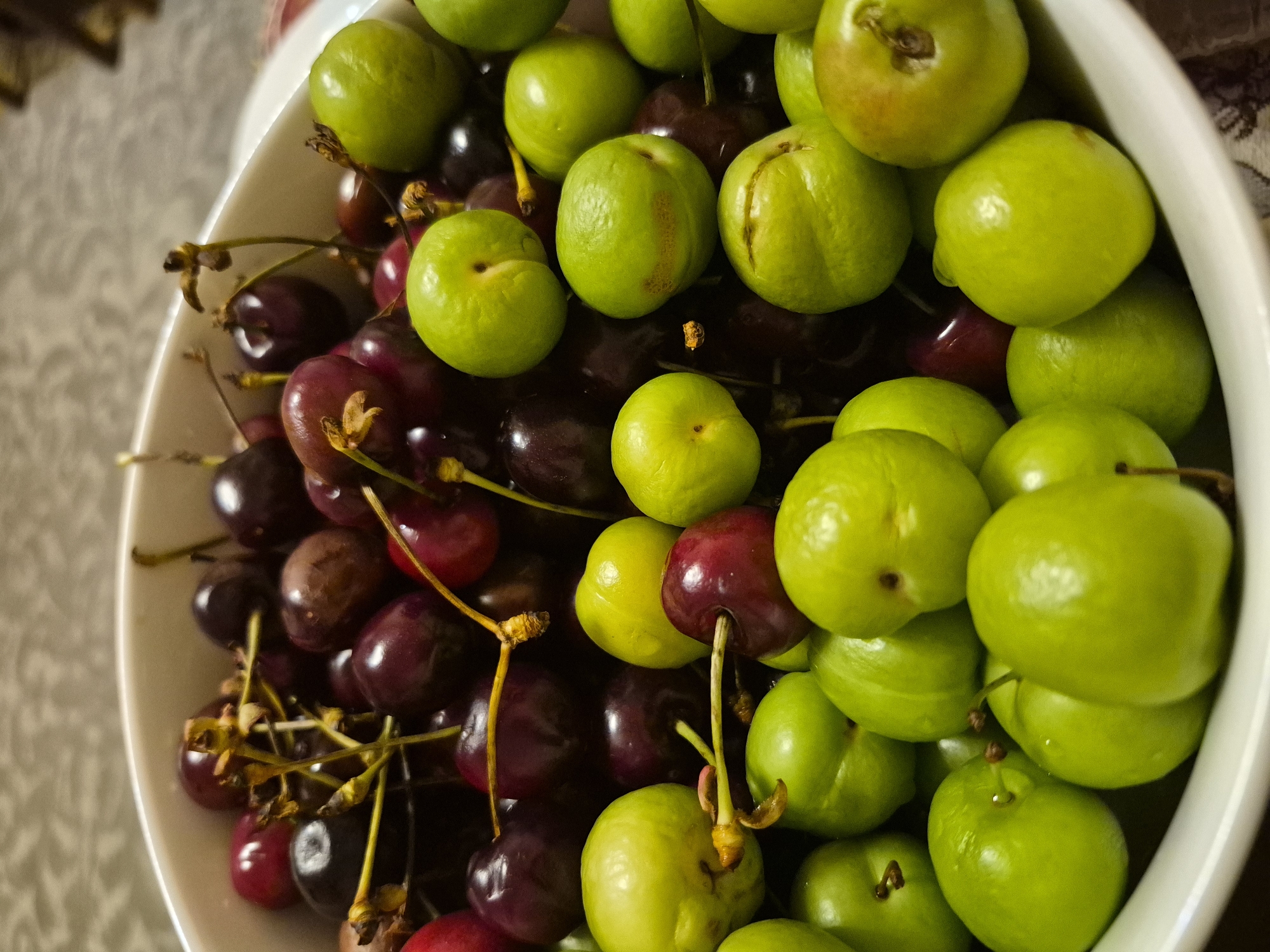 A close-up, high-angle shot captures a vibrant mix of fresh fruits piled high in a white ceramic bowl. The bowl occupies the majority of the frame, angled slightly to reveal the fruits within.
On the right side and top of the bowl, a generous quantity of bright green, round fruits are clustered. These fruits are firm and plump, with a smooth, glossy skin, and some show slight variations in color, including hints of yellow or small brownish marks. Many still have short, dried stems or stem scars visible.
Interspersed with and dominating the left and bottom portion of the bowl are numerous dark red to deep purple cherries. These cherries are smaller than the green fruits and have a rich, deep hue. Many of them retain their slender, light brown or reddish stems, some of which are intertwined.
The two types of fruit are distinct in color and size but are mixed together in an appealing arrangement. The background is softly blurred, showing a light-colored, possibly patterned surface, suggesting an indoor setting like a table or countertop. The lighting appears soft, highlighting the natural colors and textures of the fruits. There is no visible activity or text.