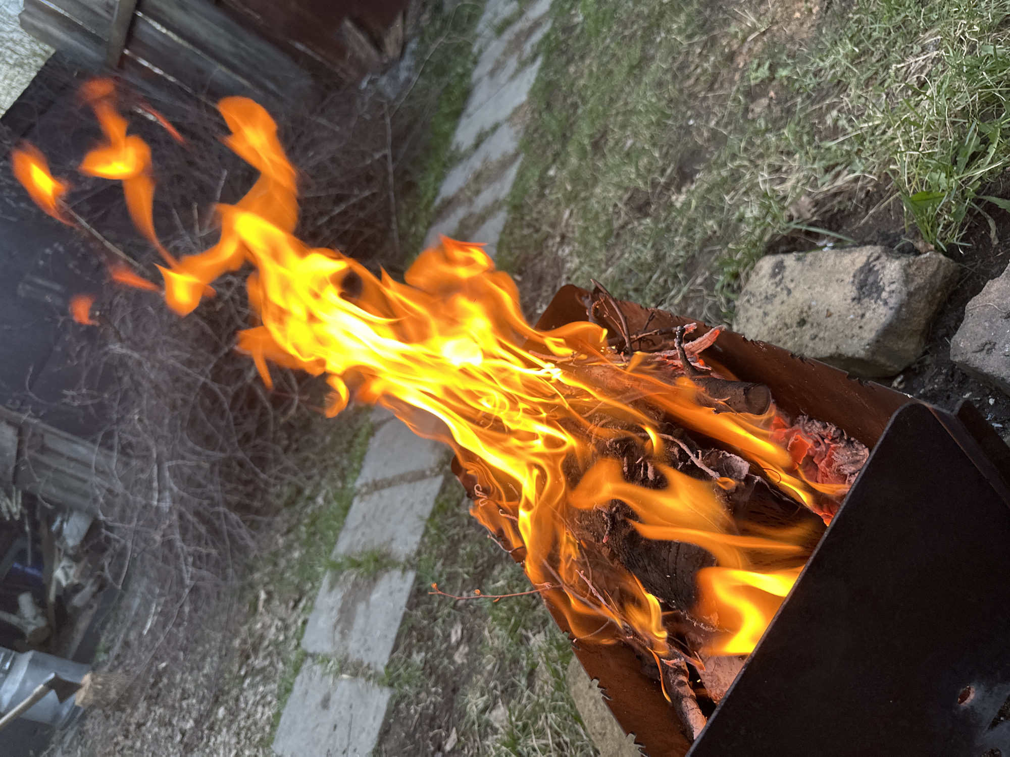 A brightly burning fire is contained within a dark metal fire pit or brazier. The flames are orange and yellow, reaching upwards and to the left. The ground around the fire pit consists of green grass, dead leaves, dirt, and a small rock. A partial view of a concrete pathway is visible in the background. The image was taken outside, with some fencing and what appears to be a garden or overgrown area to the left. The precise location in Biysk, Russia cannot be determined from the image alone.