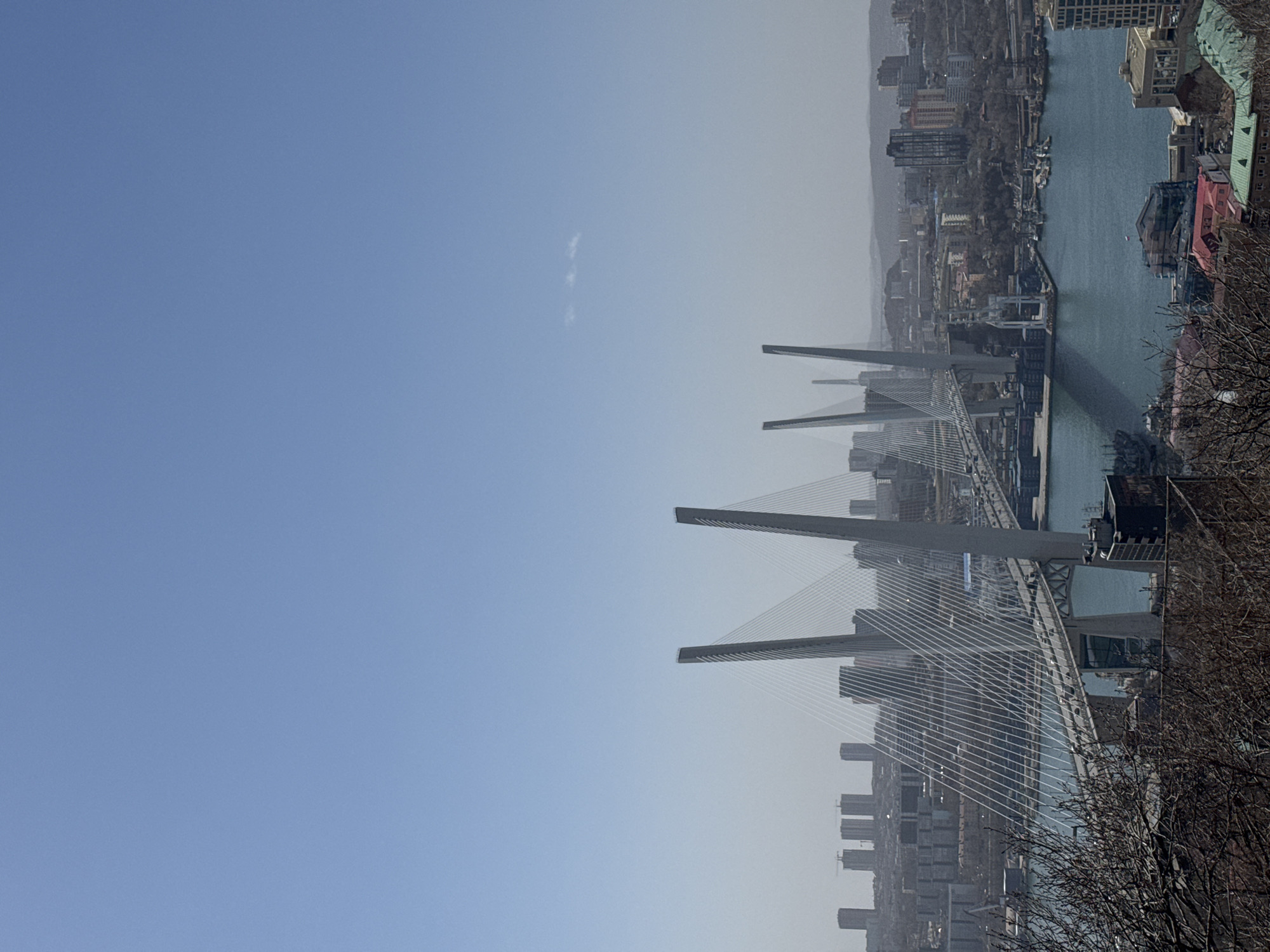 This is a panoramic landscape image showing a wide view of Vladivostok, Russia, centered on the Golden Bridge and Golden Horn Bay. The image is oriented sideways but depicts a vast urban and maritime scene.
In the foreground, on the right side, are bare tree branches, suggesting a winter or early spring season. The dominant feature in the middle ground is a large cable-stayed bridge, likely the Golden Bridge, characterized by its multiple tall, grey, angular pylons and numerous white suspension cables fanning out to support the bridge deck. The bridge spans across a wide body of blue-green water, which is the Golden Horn Bay.
Along the shores of the bay and extending up into the background is a dense cityscape. Numerous buildings of various heights and architectural styles are visible, forming a sprawling urban environment. Some larger structures, possibly port facilities or industrial buildings, are visible along the waterfront, with a few boats or ships docked near the bridge and shores. The distant parts of the city and hills appear hazy, suggesting either atmospheric conditions like smog or fog, or simply distance.
The sky occupies a significant portion of the image, appearing a clear, light blue. A very faint, wispy cloud formation is visible in the upper-left area of the sky. The lighting indicates it is daytime, possibly late morning or early afternoon, given the overall brightness and lack of harsh shadows. There are no people visible, and no discernible text in the image. The scene captures the impressive scale of the modern bridge against the backdrop of the historic port city.