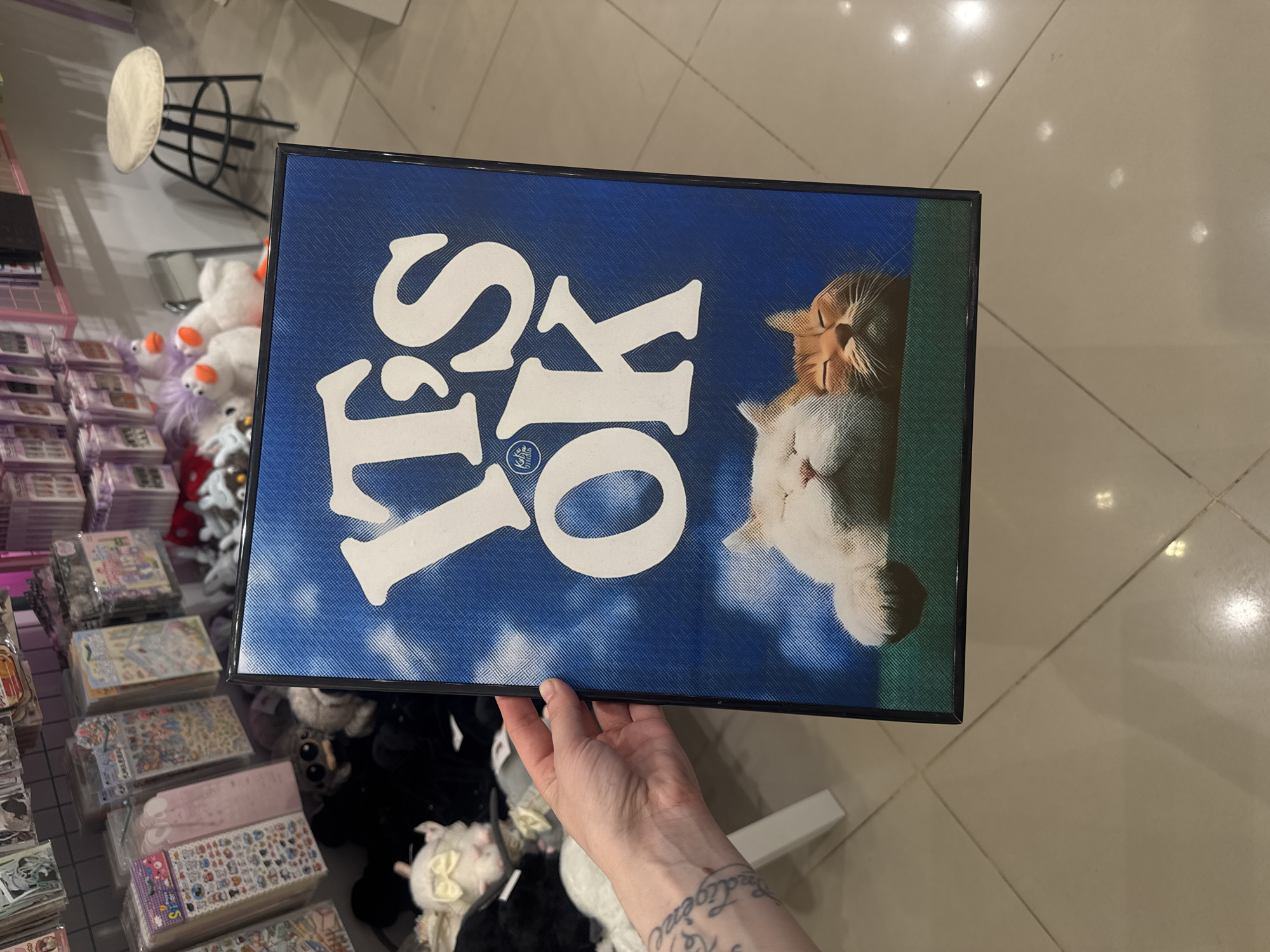 A person is holding a framed picture. The picture is blue with white lettering that reads "It's OK" and depicts a cat sleeping. The setting appears to be a store or shop, as evidenced by the merchandise shelves in the background. The location is not discernible as Moscow, Russia.