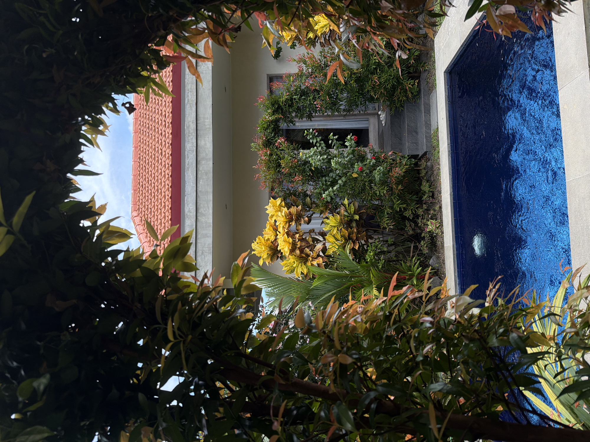 The media file captures a vibrant outdoor scene, likely a garden or courtyard, framed by lush tropical foliage in the foreground. The perspective is through a natural opening formed by dark green and reddish-brown leaves.
In the mid-ground, a light-colored building is visible with a distinctive red-tiled roof partially silhouetted against a bright blue sky with some scattered white clouds. A window on the building's facade is adorned and partially obscured by dense green bushes featuring small red-tipped leaves and red berries. Below this, large, colorful plants with bright yellow and green variegated leaves (possibly crotons) and a palm frond add to the tropical aesthetic.
To the right of the building, a rectangular water feature, likely a small pool or reflection pond, gleams with intensely deep blue tiles that create a rich, rippled surface, suggesting movement or strong reflections. The water feature is bordered by light-colored stone or concrete. Steps made of grey stone are partially visible near the water and the building.
There are no people visible, and no specific activity or event is taking place, presenting a serene and static view. The time of day appears to be daytime with clear weather, indicated by the bright sky and natural lighting. The abundant and diverse plant life, the architectural style with the red-tiled roof, and the clear blue water feature align with the provided location context of North Kuta, Indonesia. No visible text is present in the image.