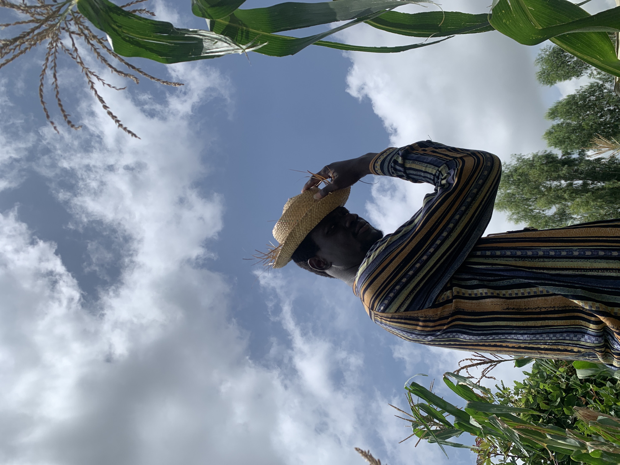 In Gwafan, Nigeria, a dark-skinned man wearing a straw hat and a striped shirt stands in a cornfield. The man is holding the brim of his hat with his right hand. The sky is cloudy with patches of blue. The corn stalks are tall and green. The man is looking down and to his right.