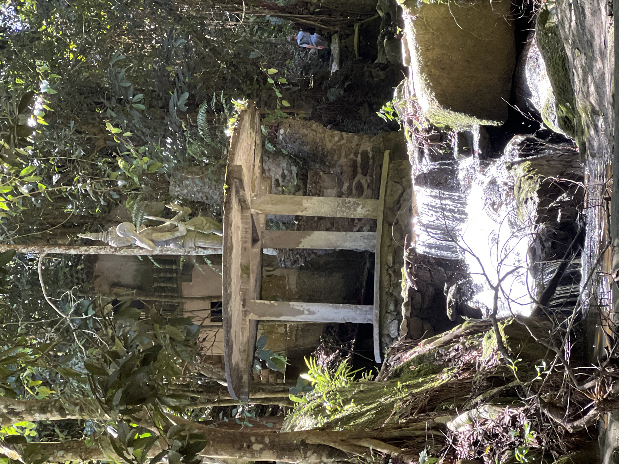 The image depicts a natural scene with a man-made structure in the city of Ban Bang Khao, Thailand. In the foreground, a small waterfall cascades over rocks into a body of water. To the left of the waterfall, large tree roots are visible, covered in moss. Behind the waterfall and roots, a weathered, circular, concrete structure with pillars stands. On top of this structure is a stone statue of a figure holding a weapon. In the background, dense green foliage creates a jungle-like atmosphere. To the right of the concrete structure, a person wearing a blue shirt and grey shorts is walking up a stone staircase. The overall scene is shaded, with sunlight filtering through the trees.