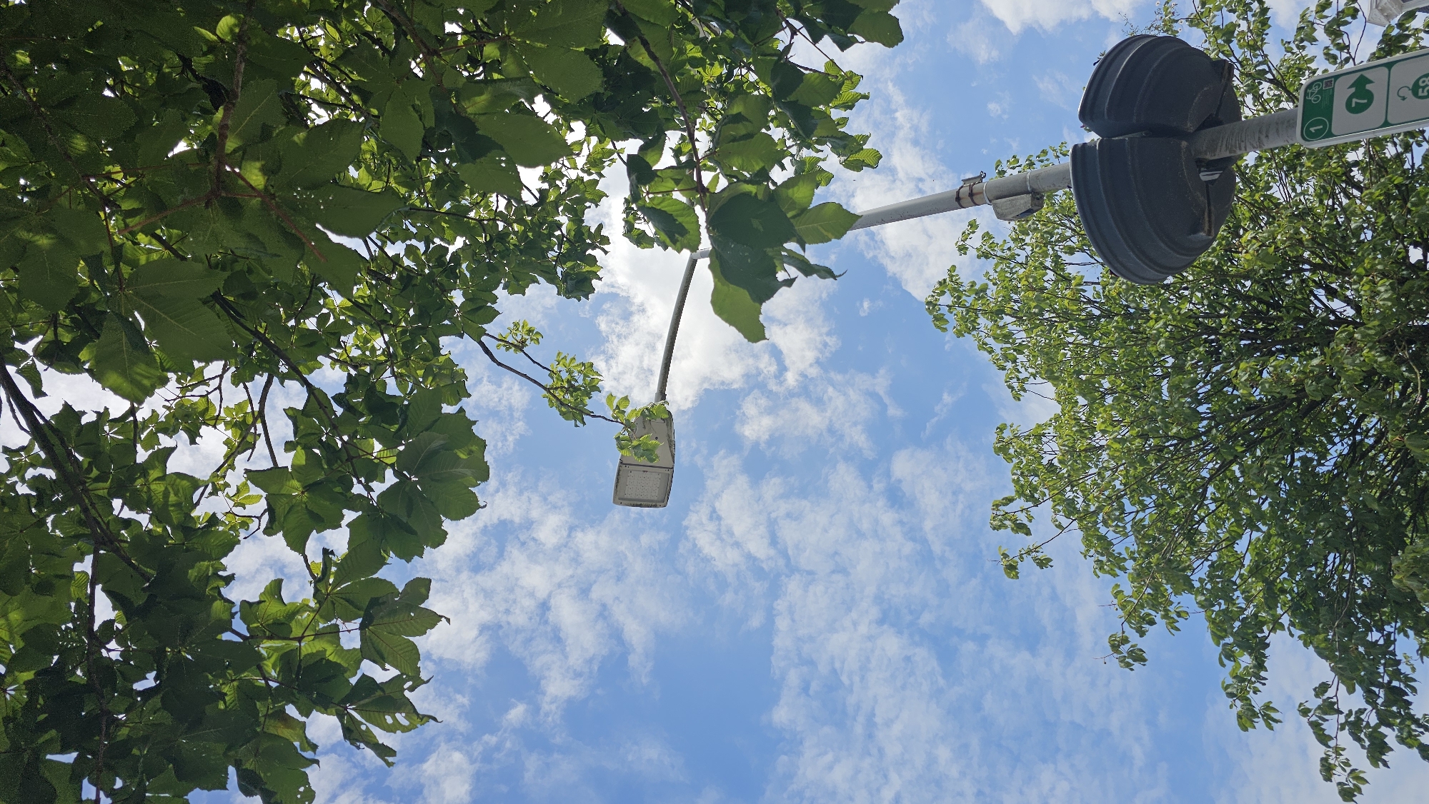 The image captures a streetlamp against a bright blue sky dotted with white clouds, viewed from below through the lush green leaves of a tree. The streetlamp, a modern rectangular design with a metal pole, is positioned slightly off-center to the right. At the base of the pole, a dark, circular, textured object is attached, possibly a speaker or a housing for equipment. Below this, a green and white sign is partially visible, indicating a route or traffic regulation. Another tree with abundant green foliage is visible in the lower left quadrant of the image, with its branches reaching upwards. The overall scene is bathed in natural light, suggesting daytime. The presence of the streetlamp and signs implies an urban or suburban setting, likely a street or park area. The architecture visible at the very bottom right edge, with light-colored stonework, further supports this interpretation and could potentially place the scene within the city of Philippeville, Belgium, given the context.