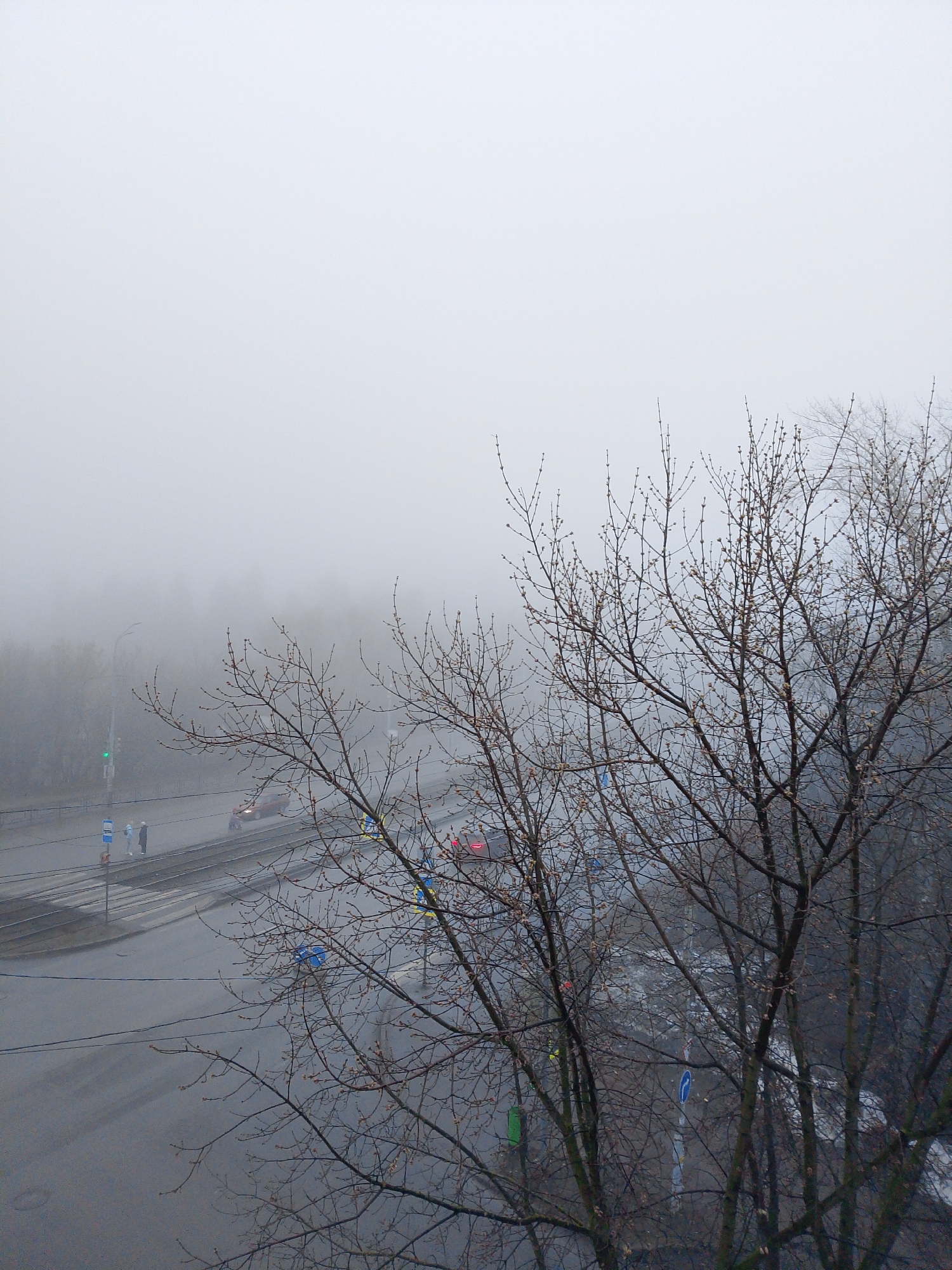 The photograph depicts a street scene in Izhevsk, Russia, on a foggy day. The perspective is from an elevated position, likely a window overlooking the roadway.
The street is wet and paved, with visible lane markings and tram tracks. There is vehicular traffic; one car is red, and another is orange. Traffic lights are visible. Pedestrians are waiting at a bus stop on the side of the road. Signage indicating road conditions is visible along the roadside. In the right foreground, a bare tree obscures some of the view. The background is obscured by heavy fog, blurring the buildings, trees, and other features in the distance.