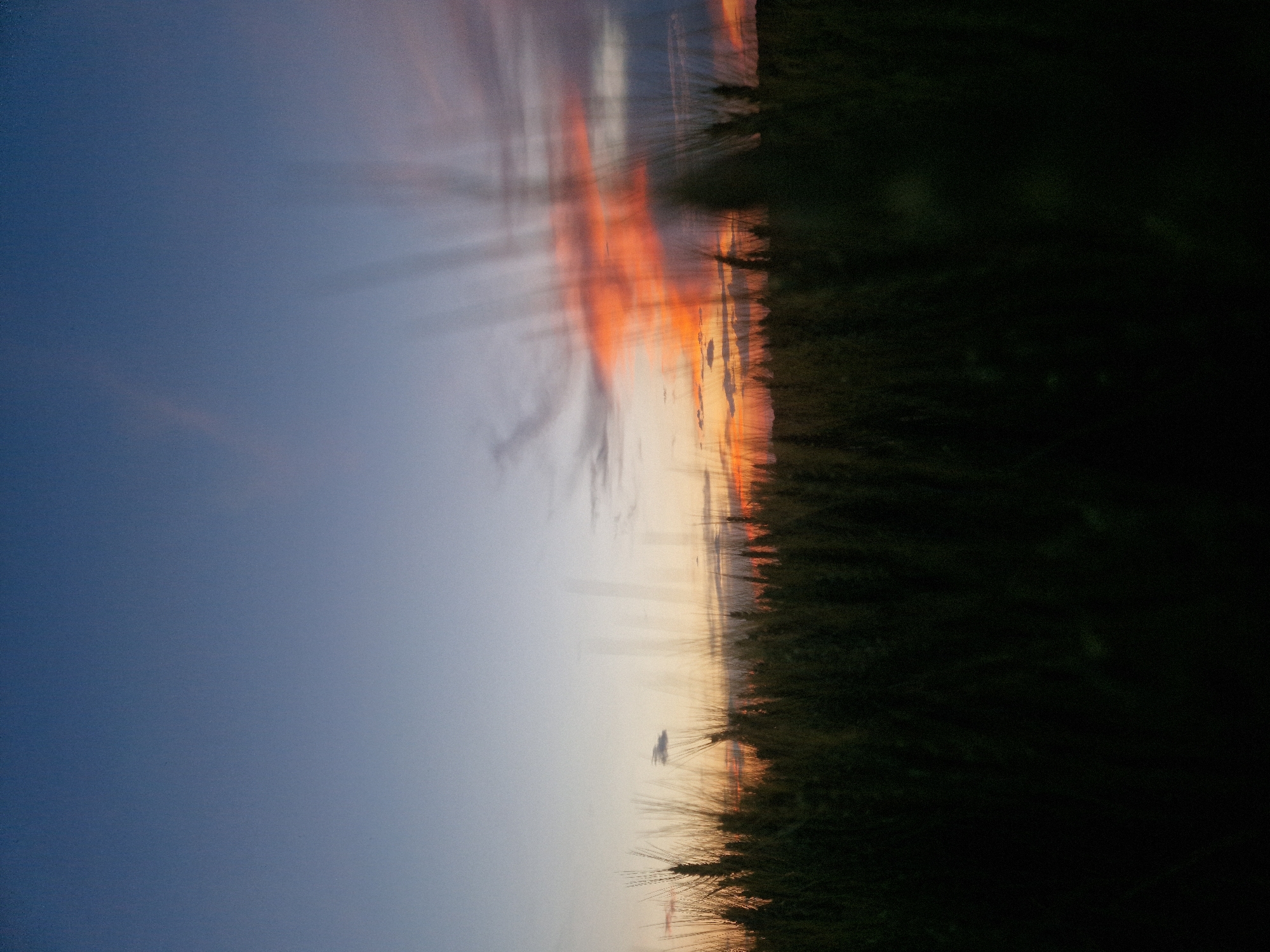 The image captures a silhouette of a wheat field against a sunset sky. The foreground is dominated by dark, out-of-focus stalks of wheat, creating a deep shadow that obscures any details within the field itself. Above the wheat, the sky transitions from a deep blue at the top to lighter shades of blue and grey, with streaks of orange and pink from the setting sun. A few wispy clouds are visible in the distance. There are no people, animals, or man-made structures evident in the scene. The location in Ustyvytsya, Ukraine, is inferred from the context of the prompt but is not visually verifiable within the image itself.