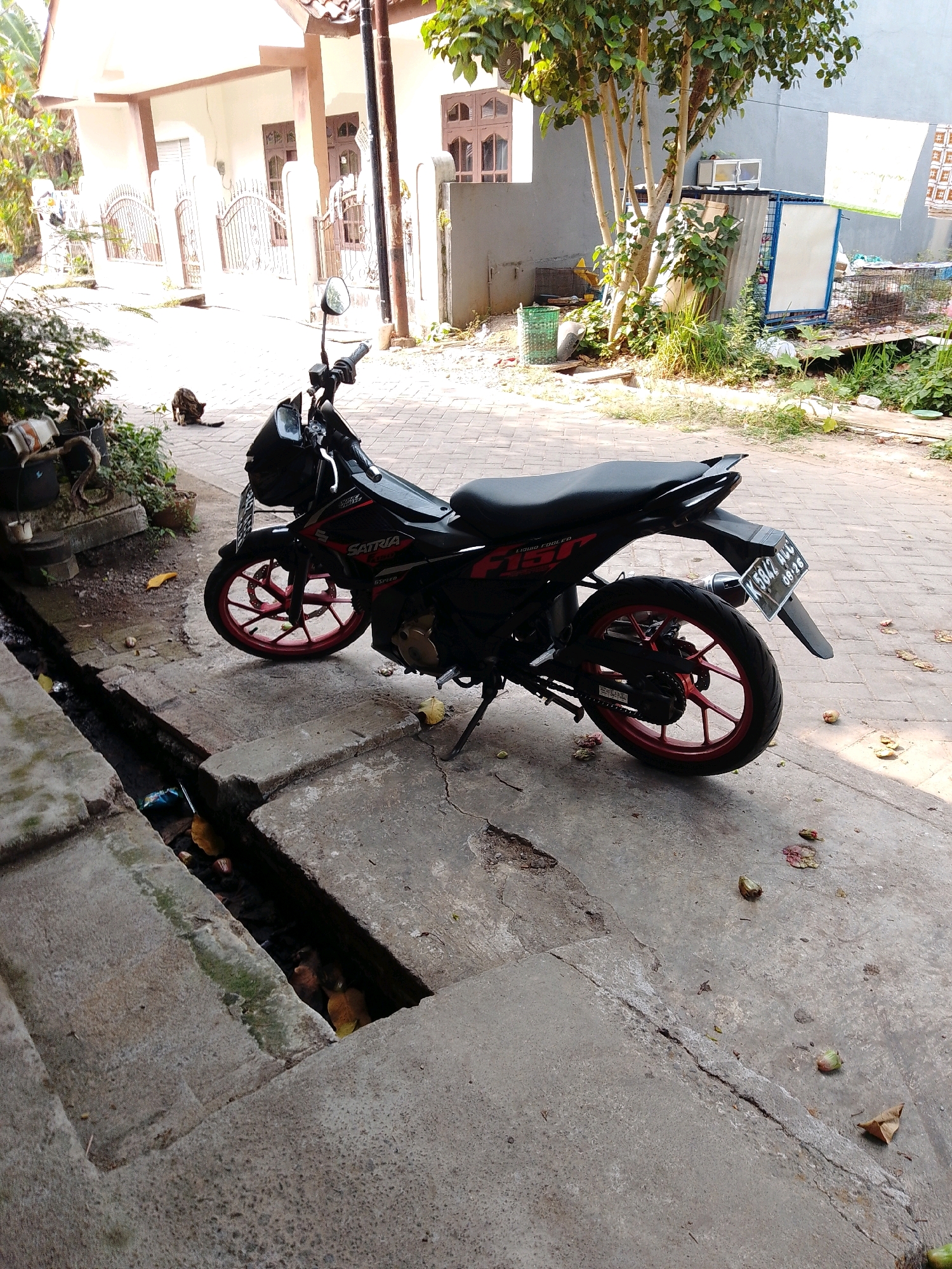 Memory