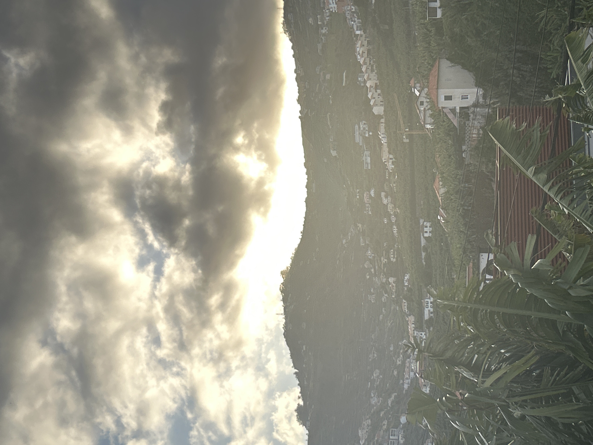 The image depicts a hillside town in Câmara de Lobos, Portugal, under a cloudy sky with a sun-illuminated horizon. Numerous white buildings dot the green slope, suggesting a dense settlement on the incline. Palm trees are visible in the foreground. The sun's glare obscures specific details of the environment.
