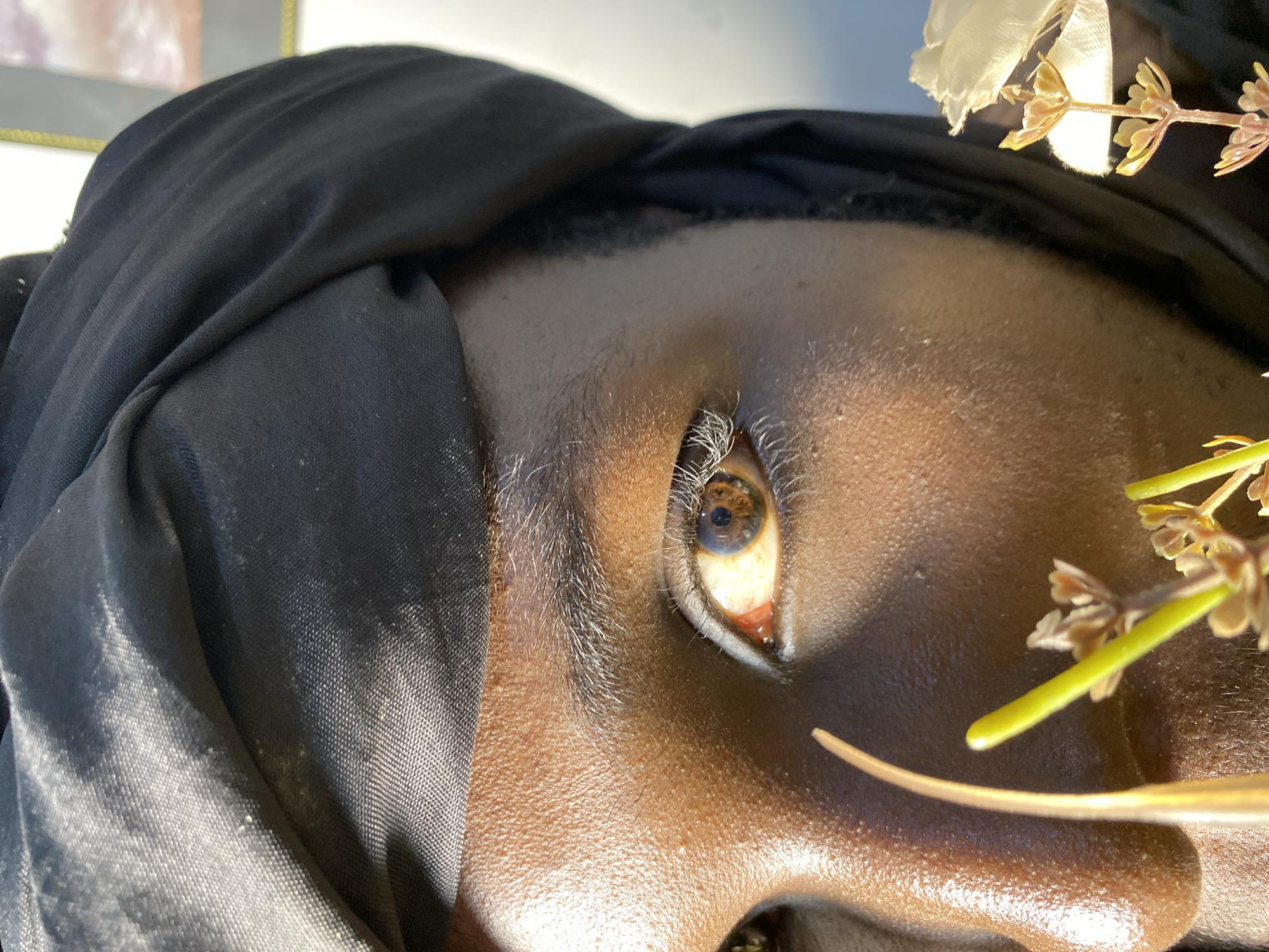 This is a close-up, eye-level shot of a person's face, with their right eye being the central focus. The person is wearing a black headscarf that covers part of their forehead and hair. The skin tone appears to be a deep brown. The right eye is open, revealing a brown iris with flecks of lighter brown and yellow. The eyelashes are light-colored and appear long and dense. Sunlight casts a strong shadow across the left side of the face, highlighting the texture of the skin. In the foreground, two small, dried plant stems with tiny buds are visible, one in sharp focus and the other slightly blurred. The background is out of focus, showing a sliver of a framed picture on a light-colored wall. The overall lighting suggests the photograph was taken outdoors during the day, possibly in Bukuru, Nigeria, given the context.