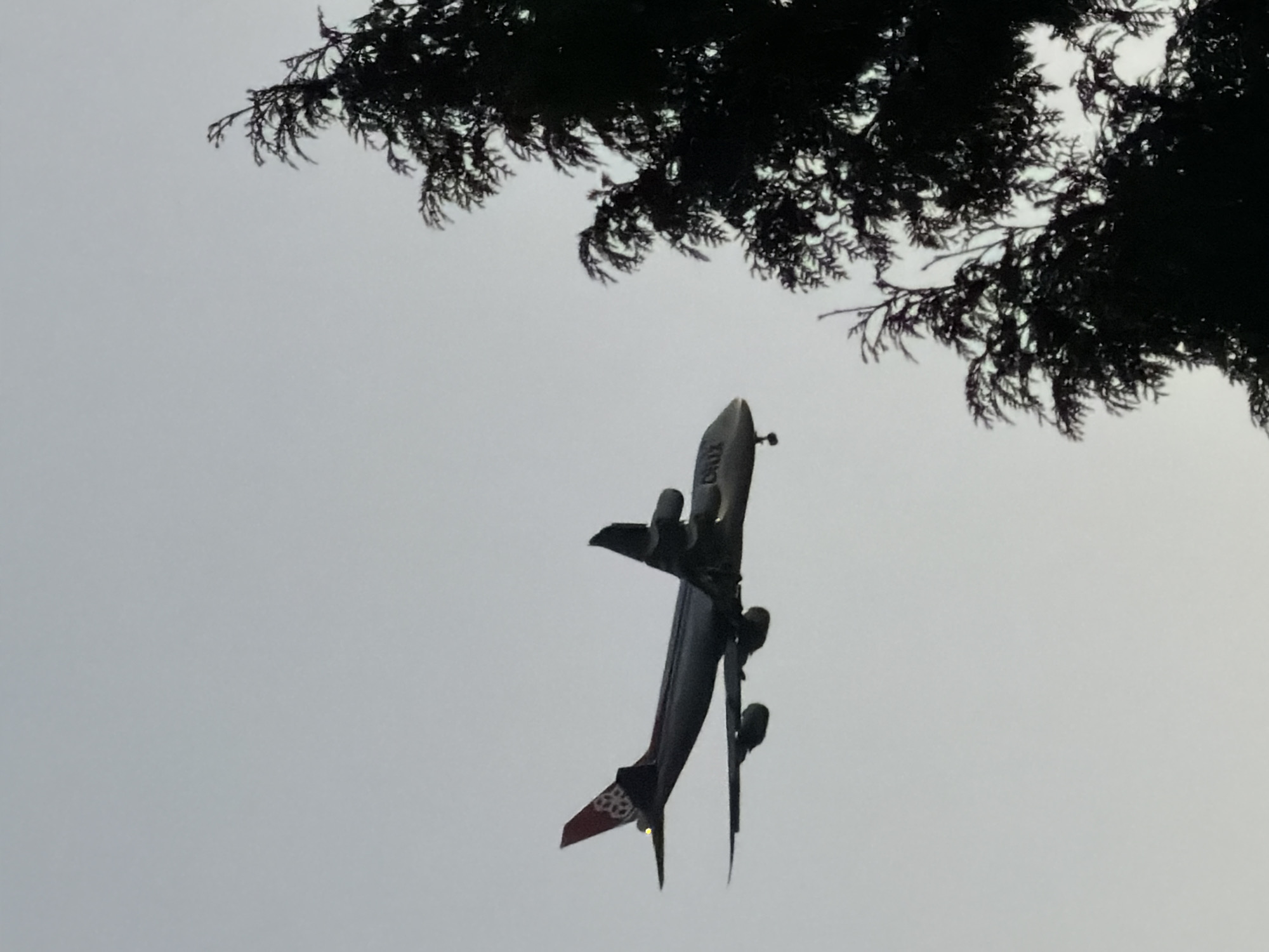 A dark silhouette of a cargo plane, possibly a Boeing 747, is captured mid-flight against a pale, overcast sky. The plane, predominantly gray with red and white markings on its tail, displays the text "CRUX" on its fuselage. Its landing gear is extended, suggesting it is either approaching or departing from an airport. In the foreground, the dark, dense foliage of a conifer tree partially obstructs the view of the aircraft. The scene is devoid of any human presence. The overall atmosphere is somber and muted, typical of a cloudy day. The location is identified as Leudelange, Luxembourg.
