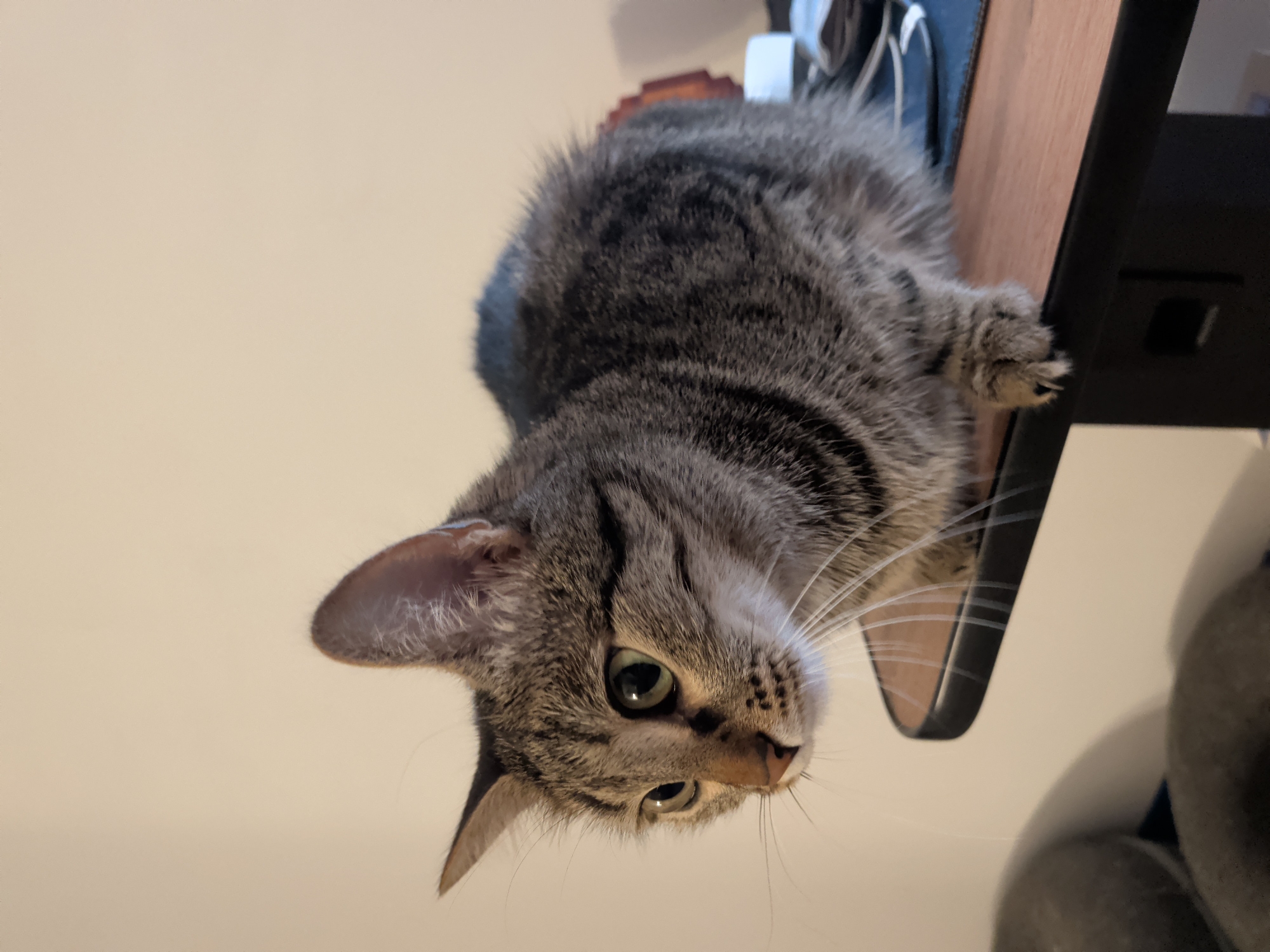 A domestic short-haired tabby cat, exhibiting grey and brown striped fur, sits on a light brown wooden surface with a dark edge. The cat is positioned in the center-right of the frame, facing left with its head slightly angled towards the viewer, displaying wide, light green eyes and prominent white whiskers. One front paw is visible, resting near the edge of the surface. The background consists of a plain, light beige wall. To the right of the cat, on the wooden surface, parts of a blue mouse pad, white cables, and a small white object are discernible. A reddish-brown object is partially visible behind the cat's midsection. In the lower-left foreground, two out-of-focus grey, rounded objects are present. The scene is illuminated by soft, diffused lighting, indicating an indoor environment in the city of Unknown, Unknown.