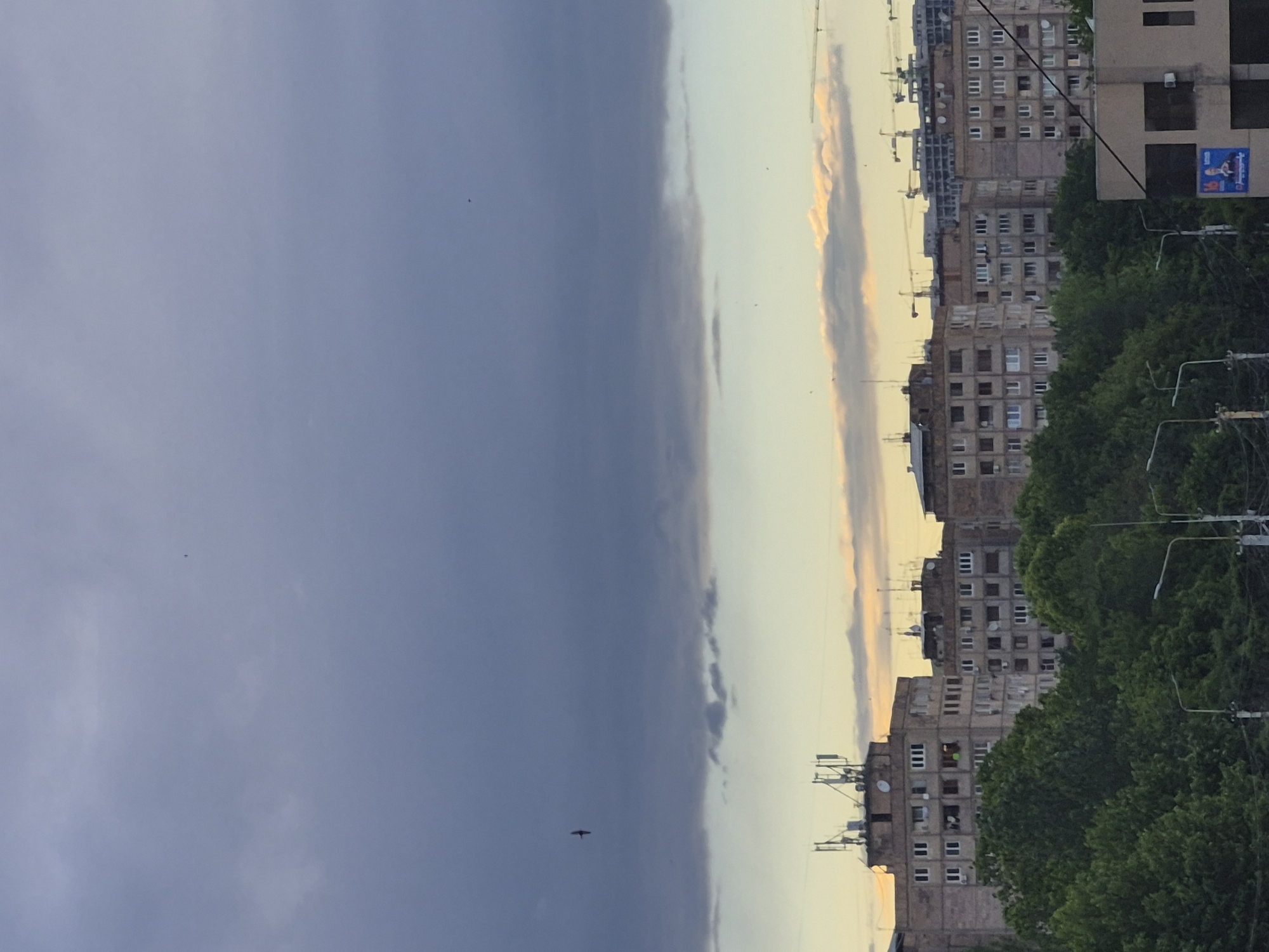 The image captures an urban landscape under a dramatic sky, likely at dawn or dusk, in Yerevan, Armenia. The scene is oriented vertically, but when viewed upright, a distinct line bisects the sky. The left side is dominated by a vast expanse of dark, heavy grey-blue clouds, suggesting an approaching or receding storm front. Several small, dark specks, likely birds, are visible against this darker sky, with one bird clearly silhouetted.
To the right, the sky transitions to a lighter, warmer palette of pale blues, yellows, and soft oranges, indicative of either sunrise or sunset, with some wispy clouds reflecting these hues. This clear division in the sky creates a striking visual contrast.
Along the horizon, a series of multi-story apartment buildings, characteristic of post-Soviet architecture, line the cityscape. These concrete or stone structures feature numerous windows, some with individual air conditioning units and satellite dishes. Construction elements or antennae are visible on the rooftops of some buildings. Lush green trees occupy the mid-ground and foreground, partially obscuring the lower sections of the buildings. Streetlights and overhead wires are visible among the foliage and in front of the structures. On the side of one building, a blue poster with a person's image and text, likely in Armenian, is visible, though the specifics of the text are illegible. The overall impression is one of a city experiencing a moment of significant atmospheric transition.