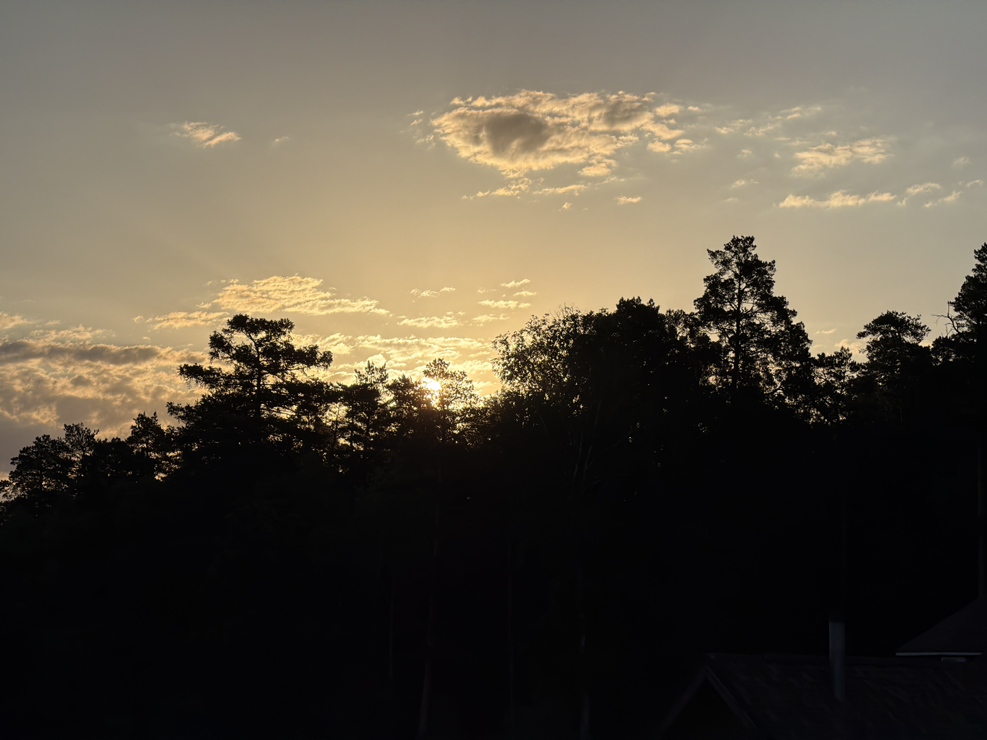 The image shows a silhouette of trees against a sunset sky. The sky is a gradient of colors, with the brightest part of the sunset visible through the trees. There are some scattered clouds in the sky, including one round cloud. At the bottom of the image, there is a partially visible building, possibly a roof or a structure with chimneys. The trees are dense and appear to be a forest or woodland area. The location of the image is in Chaikovsky, Russia.