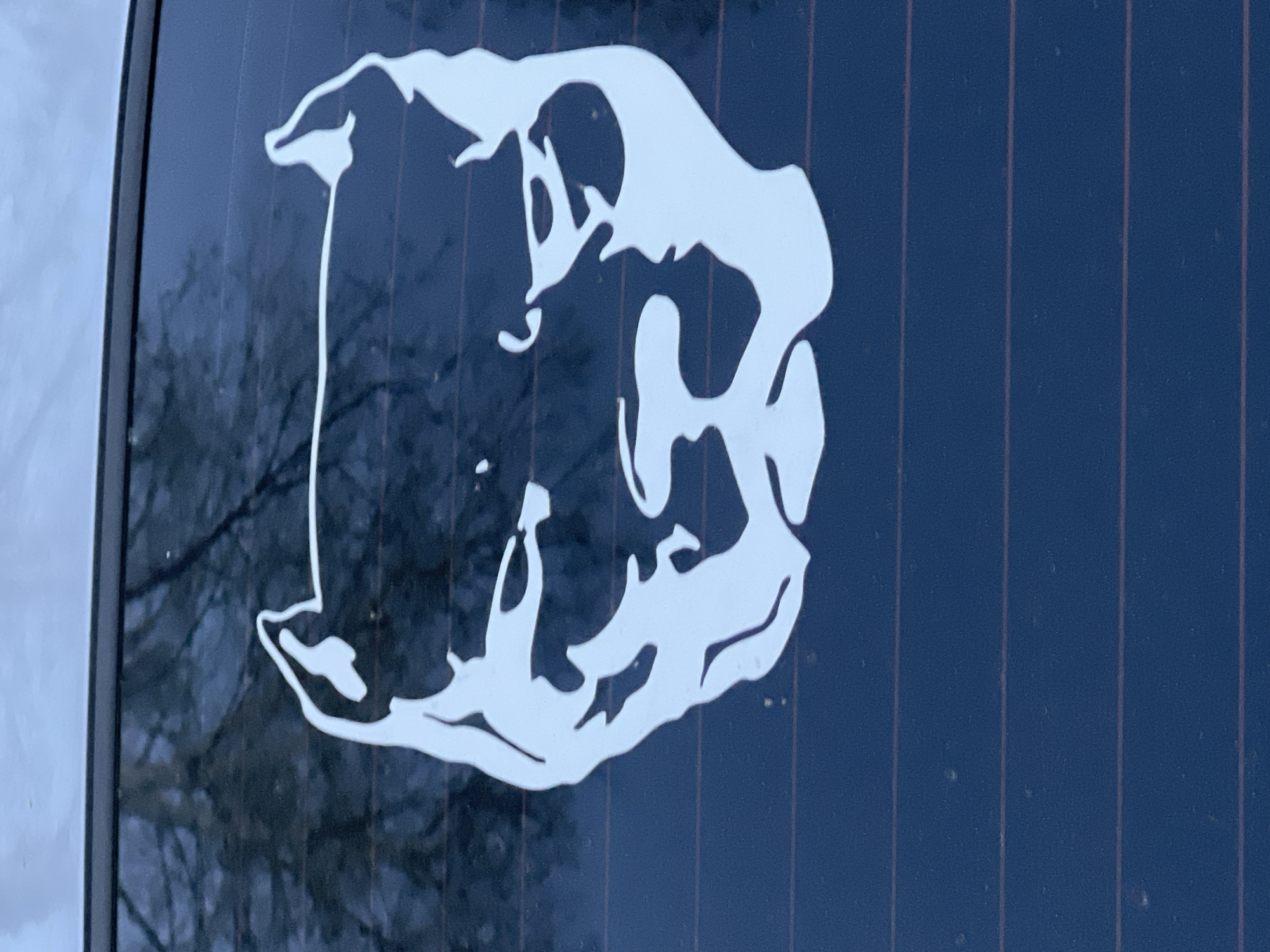 A white decal is adhered to the dark rear window of a vehicle. The decal appears to depict a stylized animal skull, possibly a bear or similar mammal. The window has defroster lines visible. The background is out of focus, but it appears to be an outdoor winter scene with bare trees and snow present. The specific location in the city of Chaikovsky, Russia cannot be determined from this image.