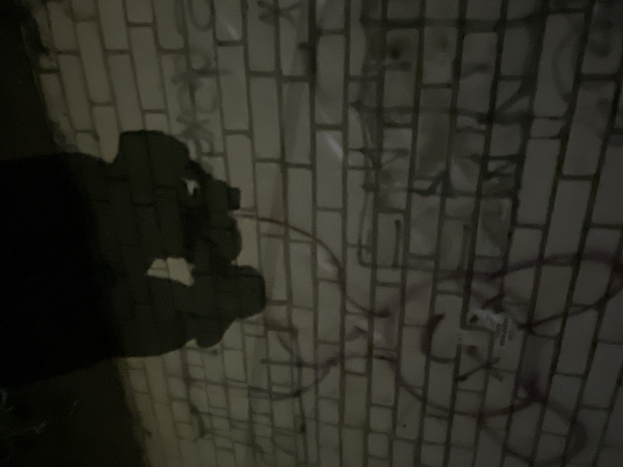 This image captures a dimly lit, graffiti-covered wall, likely part of an interior or enclosed space such as an underpass, tunnel, or basement, located in Красные Баки, Russia. A prominent, dark silhouette of a person, presumably the photographer, occupies the left side of the frame, casting a large shadow on the wall. The shadow clearly shows the person holding a device, likely a camera or smartphone, suggesting they are in the act of taking a photograph of the wall.
The wall itself is constructed of light-colored, rectangular bricks or tiles. It is heavily adorned with various forms of graffiti. On the left side, partially obscured by the photographer's shadow, faint, dark block letters, possibly "EX," are visible. Towards the center and right, the wall features more vibrant graffiti consisting of red or dark purple squiggly lines and abstract shapes, typical of spray paint. Beneath these, other faded and larger dark symbols or letters are discernible but remain indistinct. A small, white object, resembling a sticker or tag with minute, unreadable text, is affixed to the wall amidst the red markings. The overall darkness implies either nighttime or a poorly illuminated indoor setting, with a direct light source (possibly from the photographer's device) illuminating the wall and creating the distinct shadow.