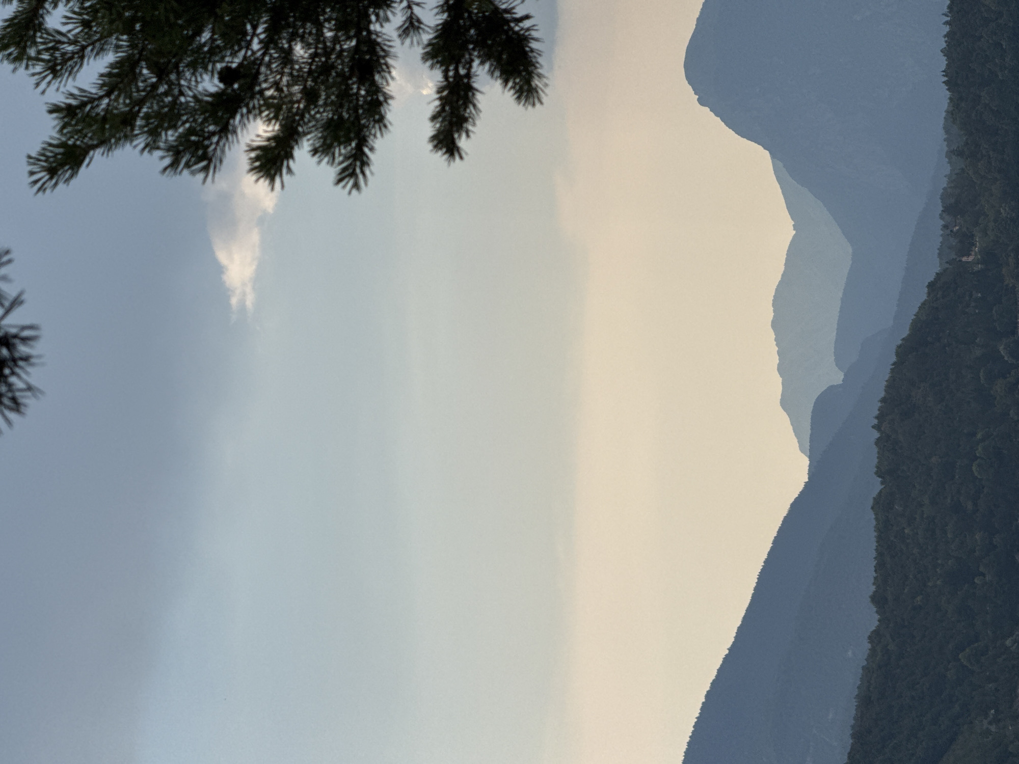 The image depicts a landscape scene with multiple layers of silhouetted mountains against a pale sky. In the foreground, a dark green, dense forest blankets the lower slopes of a mountain. The mountains themselves are rendered in varying shades of blue and purple, suggesting distance and atmospheric perspective. The sky is a gradient of soft blues and yellows, with a few wispy clouds. A branch of a coniferous tree with needles is visible in the upper right corner, partially obscuring the sky and one of the mountain peaks. The scene conveys a sense of tranquility and natural beauty, with no human presence or activity evident.
