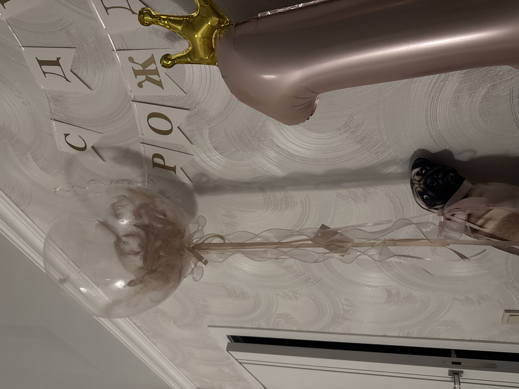 A low-angle shot shows a white and light gray patterned ceiling with decorations including a large pink number one balloon with a gold crown on top, a clear balloon with light brown fluff inside, a white ribbon-covered stick attached to the fluff balloon, a black pug dog partially visible in the corner, and a banner with gold Cyrillic lettering reading "C Днём Рождения," which means "Happy Birthday." The location of the image is not evident.