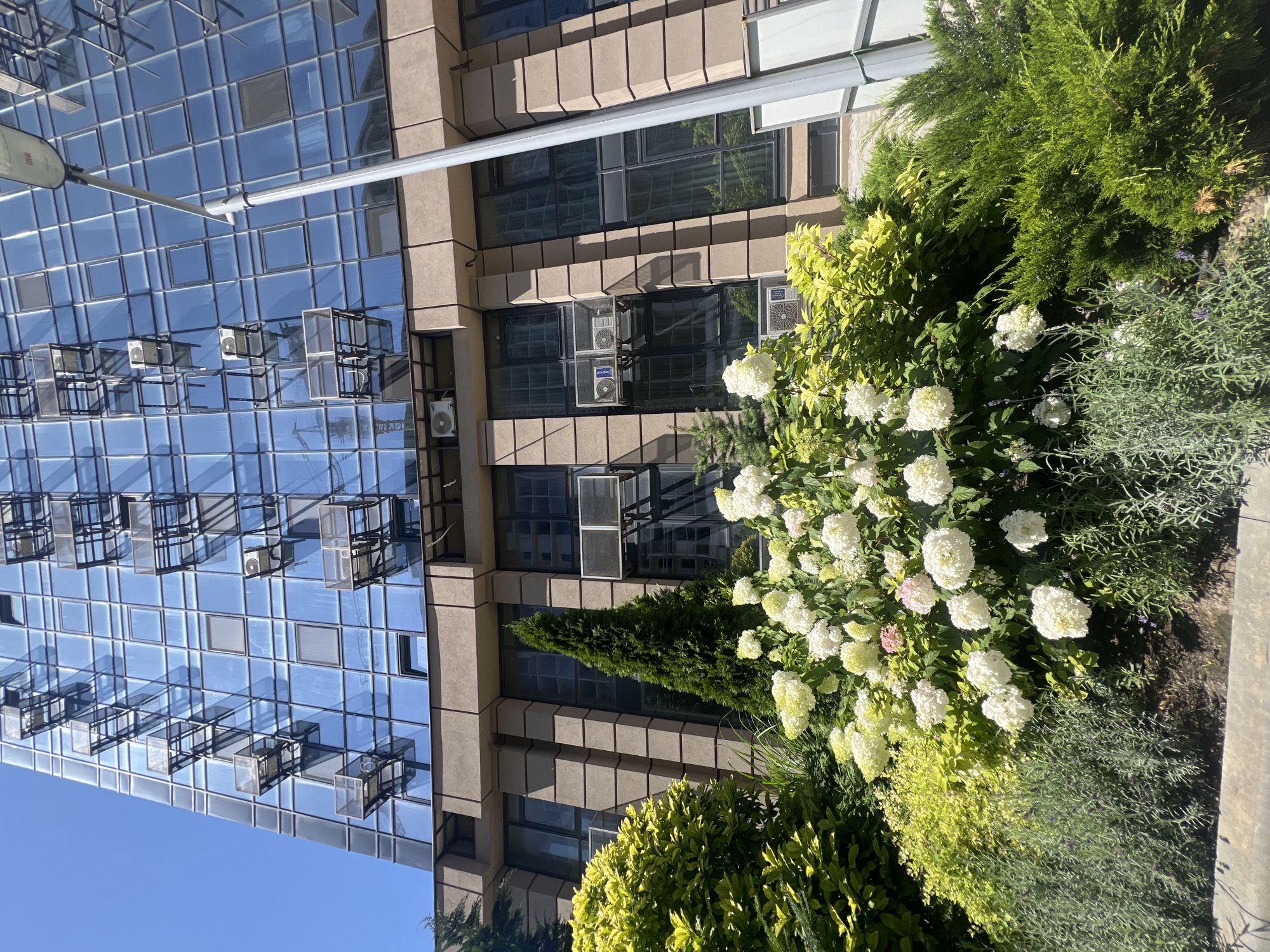 A low-angle, full outdoor shot shows the exterior of a modern building with a reflective blue glass facade and beige stone accents. Numerous air conditioning units are mounted in protective cages on the upper floors, casting shadows on the glass. A lamppost with a grey pole is visible to the right of the building. In the foreground, a lush garden features white hydrangeas, vibrant green bushes, and lavender plants. The sky is clear and blue. The scene is set in the city of Fontanka, Ukraine. There are no people or actions depicted.