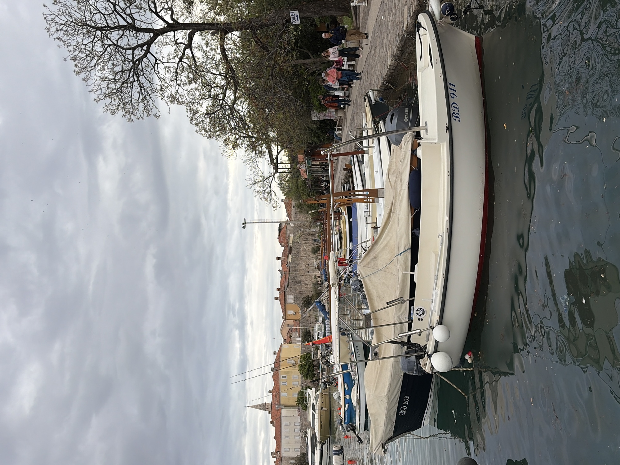The image depicts a waterfront scene in Budva, Montenegro. A row of boats is docked along a pier, with the closest boat displaying the registration "BD 911". Reflections ripple on the water's surface. A tree with bare branches dominates the top-left corner of the image. Behind the boats, a paved walkway is lined with trees and people, some sitting on benches. Buildings with red-tiled roofs are visible in the background, indicative of the city's architecture. The sky is overcast.