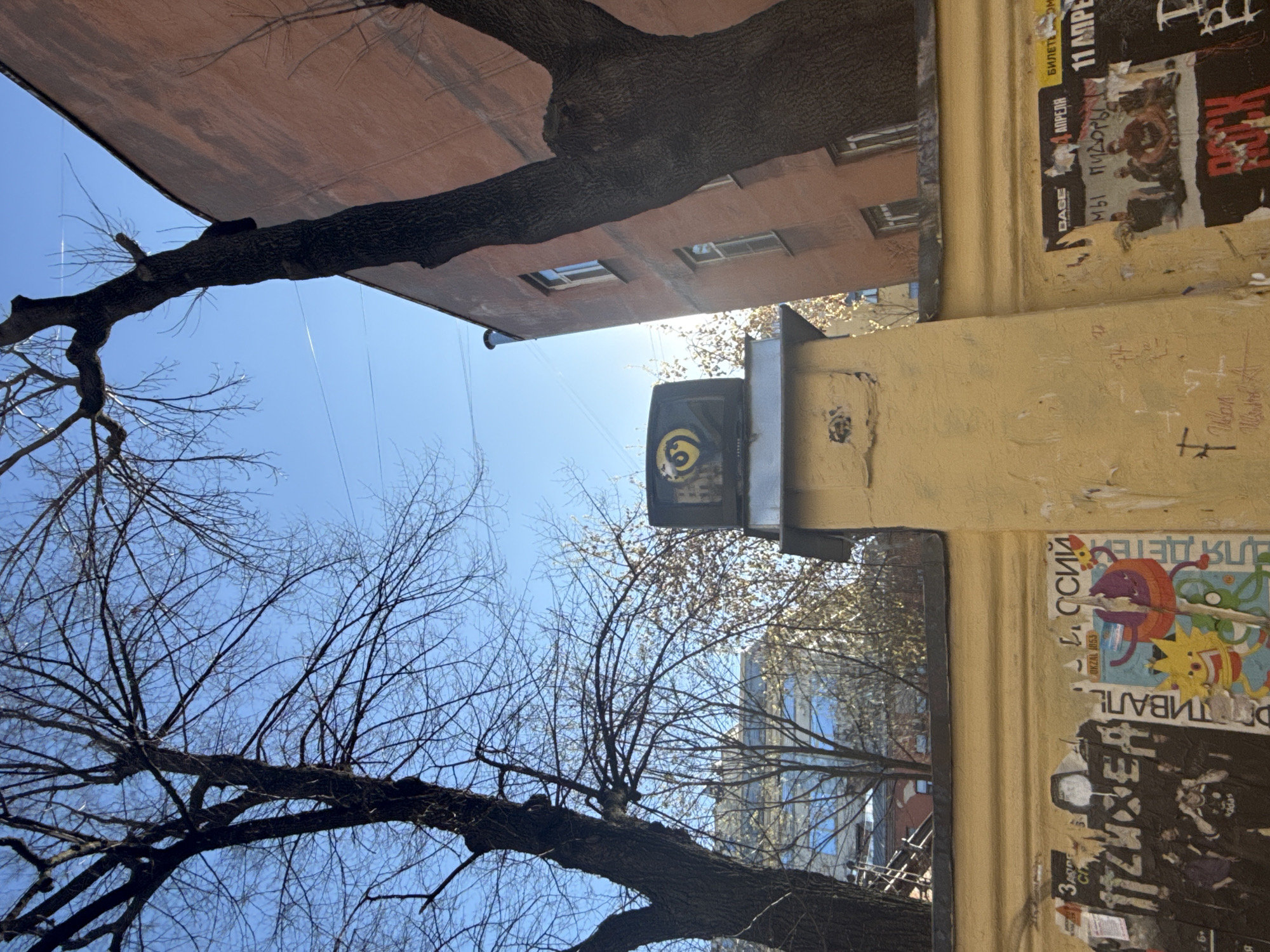 The image depicts an urban outdoor scene, likely captured looking upwards towards the sky and surrounding structures. The primary visual elements are two distinct buildings, several bare trees, and a bright blue sky.
On the right side of the frame is a tall section of a yellow-colored building or wall, heavily adorned with a collage of tattered posters, flyers, and graffiti. A dark, rectangular street fixture, possibly an electrical box, is attached to this yellow wall, featuring a distinctive yellow, eye-like symbol spray-painted on its surface.
To the left, a reddish-brown or orange building is visible, showcasing several light-framed windows. A prominent, dark tree trunk with textured bark stretches horizontally across the mid-ground, acting as a visual separator between the two buildings. Its numerous bare branches extend upwards into the clear sky, suggesting a late winter or early spring setting. Another large, bare-branched tree is visible in the lower-left corner.
The sky is a vibrant, clear blue, with a strong sun glare originating from the upper-middle section of the image, indicating a sunny day, possibly around midday. Faint wires are discernible against the sky.
No specific activity or people are shown; the scene is a static architectural and natural composition. The numerous fragments of Russian text on the posters and graffiti, combined with the provided context, confirm the location as Saint Petersburg, Russia. Visible text includes "БИЛЕТЫ" (Tickets), "11 АПРЕЛЯ" (April 11), "МЫ ПИДОРЫ" (We are faggots - a derogatory term), "ДЛЯ ДЕТЕЙ" (For Children), "CAGE", "BASE", "OKZAL 1053", and part of "ФЕСТИВАЛЬ" (Festival). A small cross symbol is also drawn on the yellow wall.