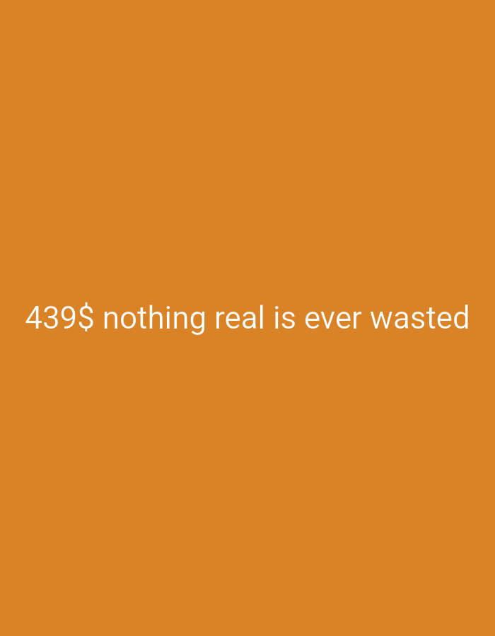 An orange background fills the frame of the image. In the center of the image, white text reads "439$ nothing real is ever wasted".