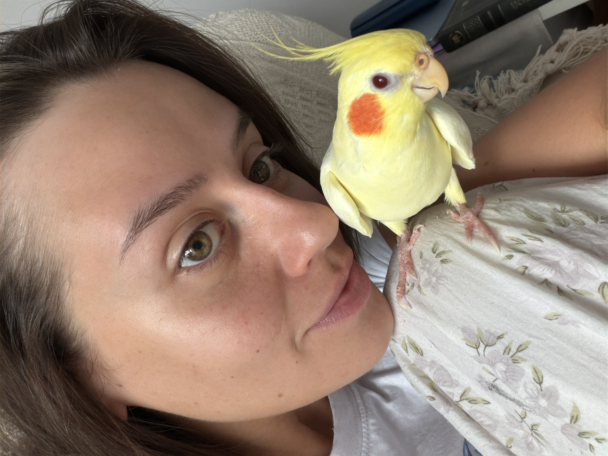 The image shows a close-up of a young woman with brown hair and green eyes, resting her head near a yellow cockatiel with an orange cheek patch. The bird is perched on her shoulder, which is draped with a light-colored fabric with a floral pattern. The woman is wearing a white t-shirt. The background is blurred but appears to be indoors, with hints of furniture and possibly a book. There is no indication of the location being Krasnoyarsk, Russia.