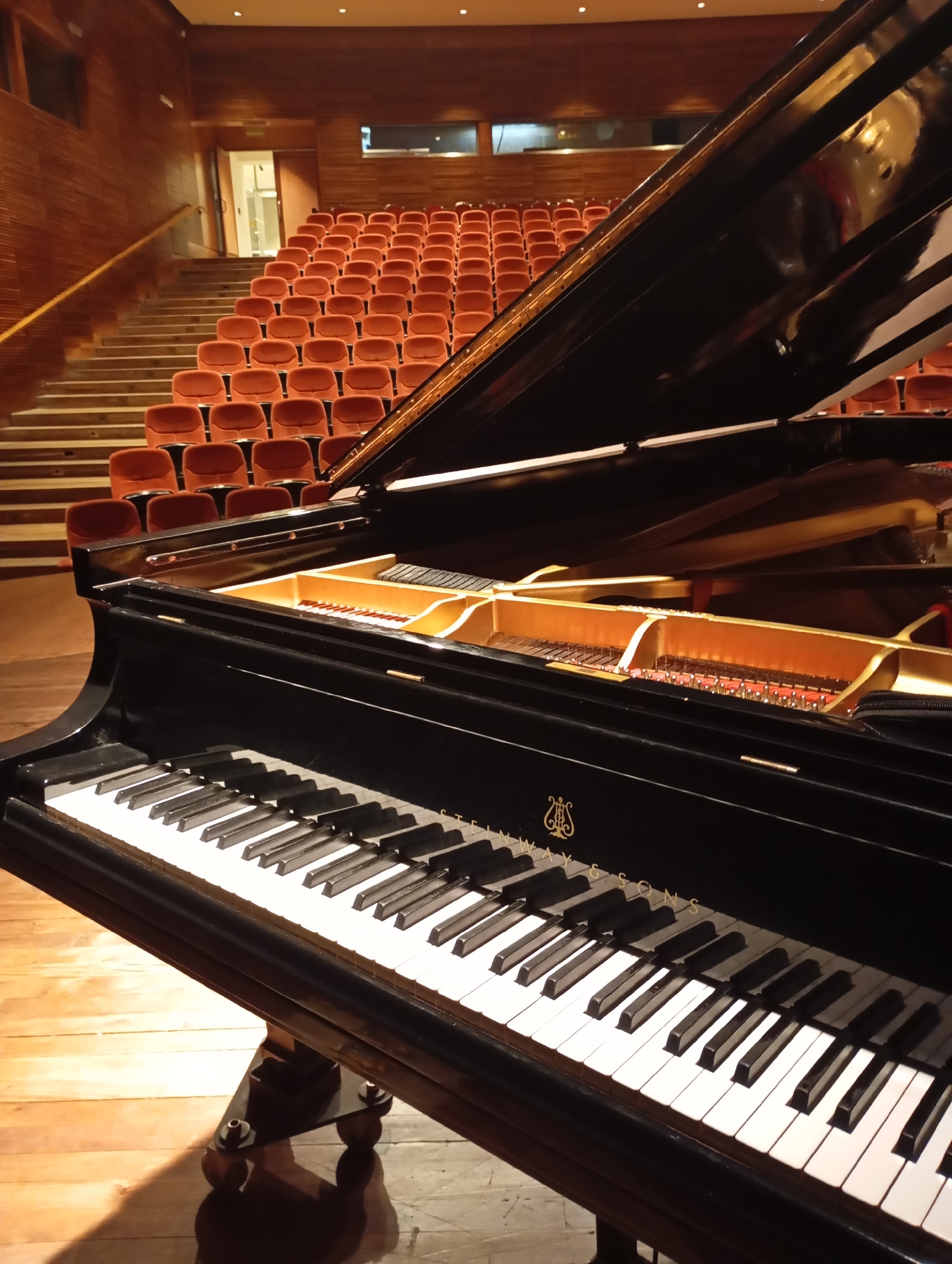 A Steinway grand piano is positioned on a wooden stage in front of tiered seating in an auditorium. The piano is black and open, revealing its interior with strings and hammers. The seats are upholstered in a reddish-orange fabric. The walls and ceiling of the auditorium appear to be made of wood. The lighting is warm and suggests an indoor performance space. The image does not provide any explicit clues about the city of La Plata, Argentina.