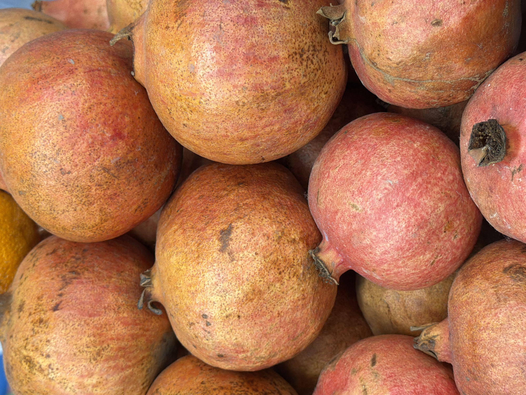 A close-up, eye-level shot shows a pile of pomegranates. The pomegranates are round and vary in color from light orange to deep red, with some showing brown speckling and discoloration. The skin of the fruits appears textured, and the crowns are visible on some. The lighting is natural, highlighting the details of the fruit. The image does not contain any people or elements indicating a specific city or location.