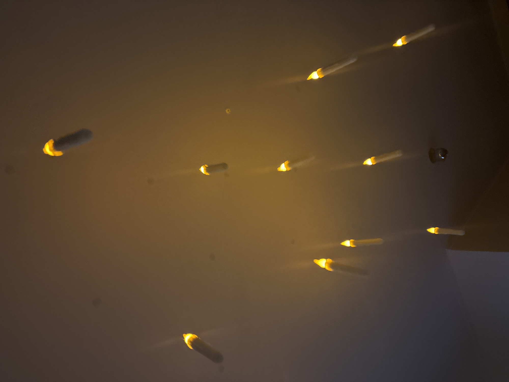 The image depicts a low-angle view of a ceiling with multiple lit, cylindrical objects. The cylindrical objects appear to be electronic candles, each with a warm, yellow light emanating from one end. The background is a smooth, off-white surface, possibly a painted ceiling. The overall lighting is dim, emphasizing the glow of the "candles." There is no evidence to suggest a specific location in Saint Petersburg, Russia, or any people or interactions present.