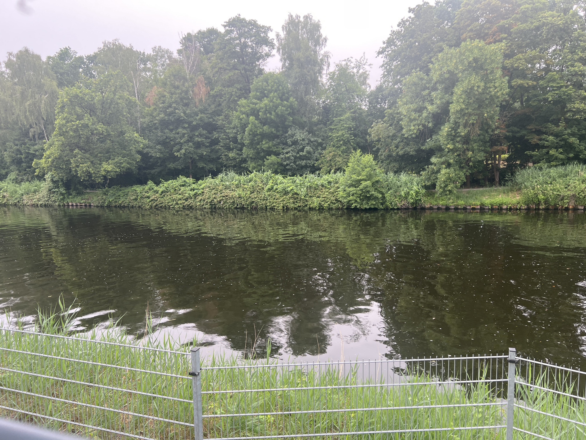 This is a photograph taken from the bank of a canal or river, possibly in Teltow, Germany. A metal fence with vertical bars is in the foreground, with green grass and reeds growing behind it. The water in the canal is dark and reflects the trees and sky. On the opposite bank, a dense line of trees and bushes forms a natural barrier, with various shades of green foliage. The sky is overcast and appears hazy.