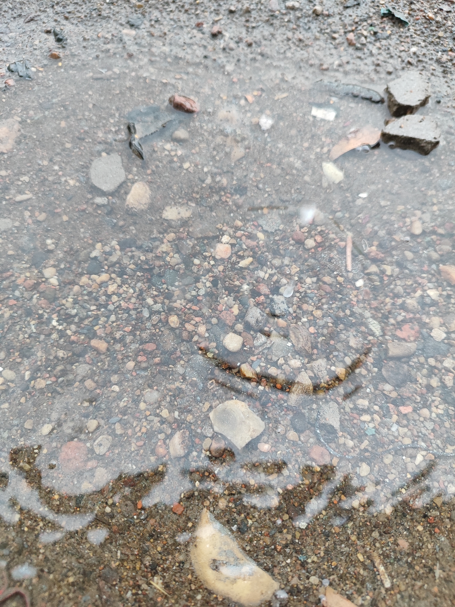 The image depicts a close-up view of a shallow puddle on a gravelly surface. The water is murky, with various small stones and pebbles visible beneath the surface. There are some larger stones and debris, including fragments of what appears to be concrete or asphalt, partially submerged in the water. The surrounding ground is composed of small, uneven gravel and dirt. The lighting suggests an overcast day, casting soft shadows. The scene is an outdoor environment, likely a street, pathway, or construction area within the city of Hrodna, Belarus, given the context of the request. No people or living creatures are visible.