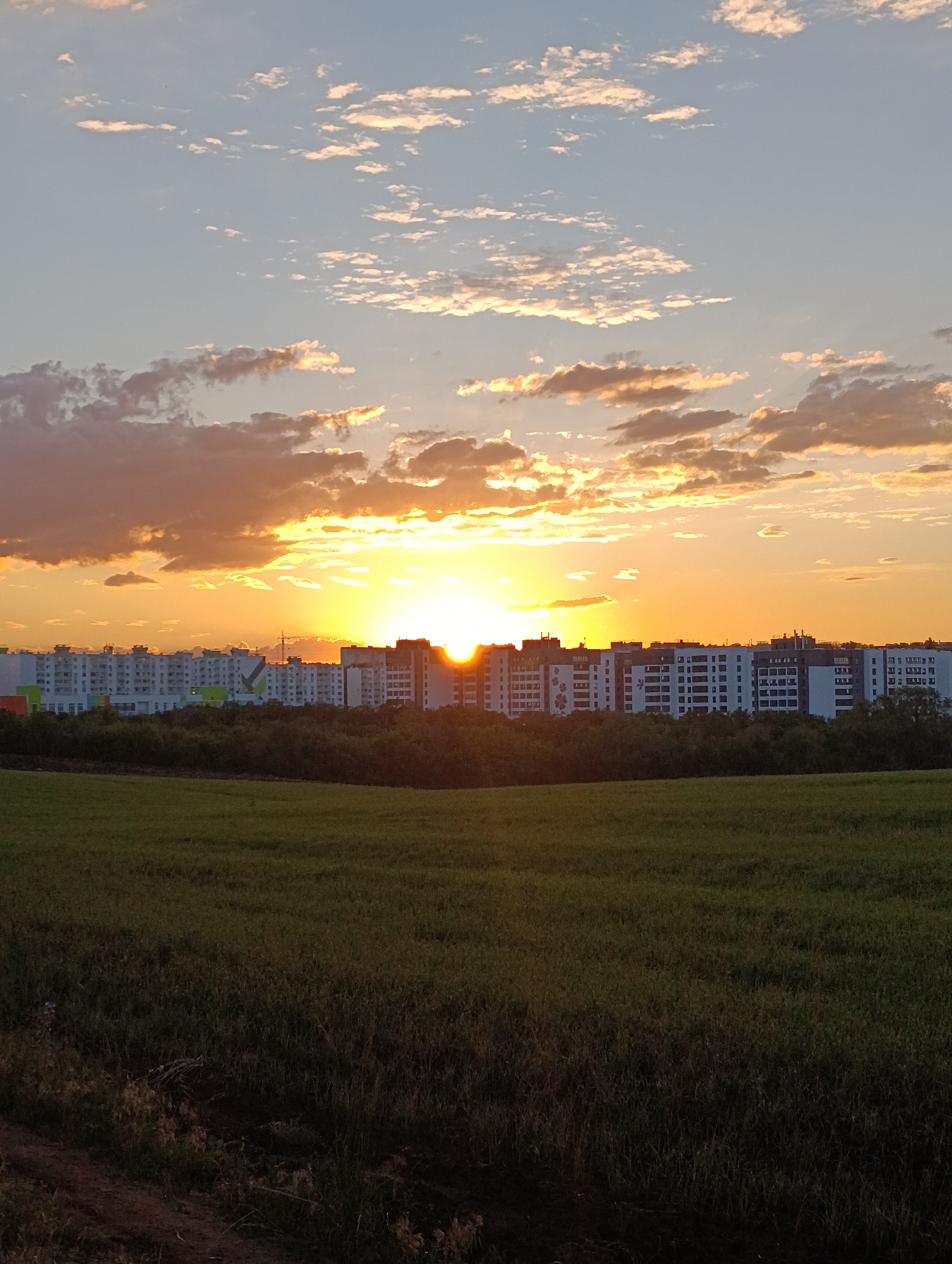 This is a vertical, eye-level, full shot of an urban landscape at sunset, likely in Saratov, Russia. The foreground features a dark, grassy field with some dry vegetation and a dirt path. Behind the field, a line of densely packed, multi-story residential buildings stretches horizontally across the frame. The buildings are predominantly white and gray, with some featuring colorful decorative elements, possibly balconies or facade patterns. A construction crane is visible above the buildings on the left side. A dense line of green trees forms a border between the field and the buildings. The sky is a gradient of warm colors, with the sun, a bright, glowing orb, positioned just above the horizon and partially obscured by the buildings and clouds. The sky is filled with scattered clouds, some tinged with orange and pink hues from the setting sun. The overall impression is one of an evening scene in a suburban or newly developed area of a city.