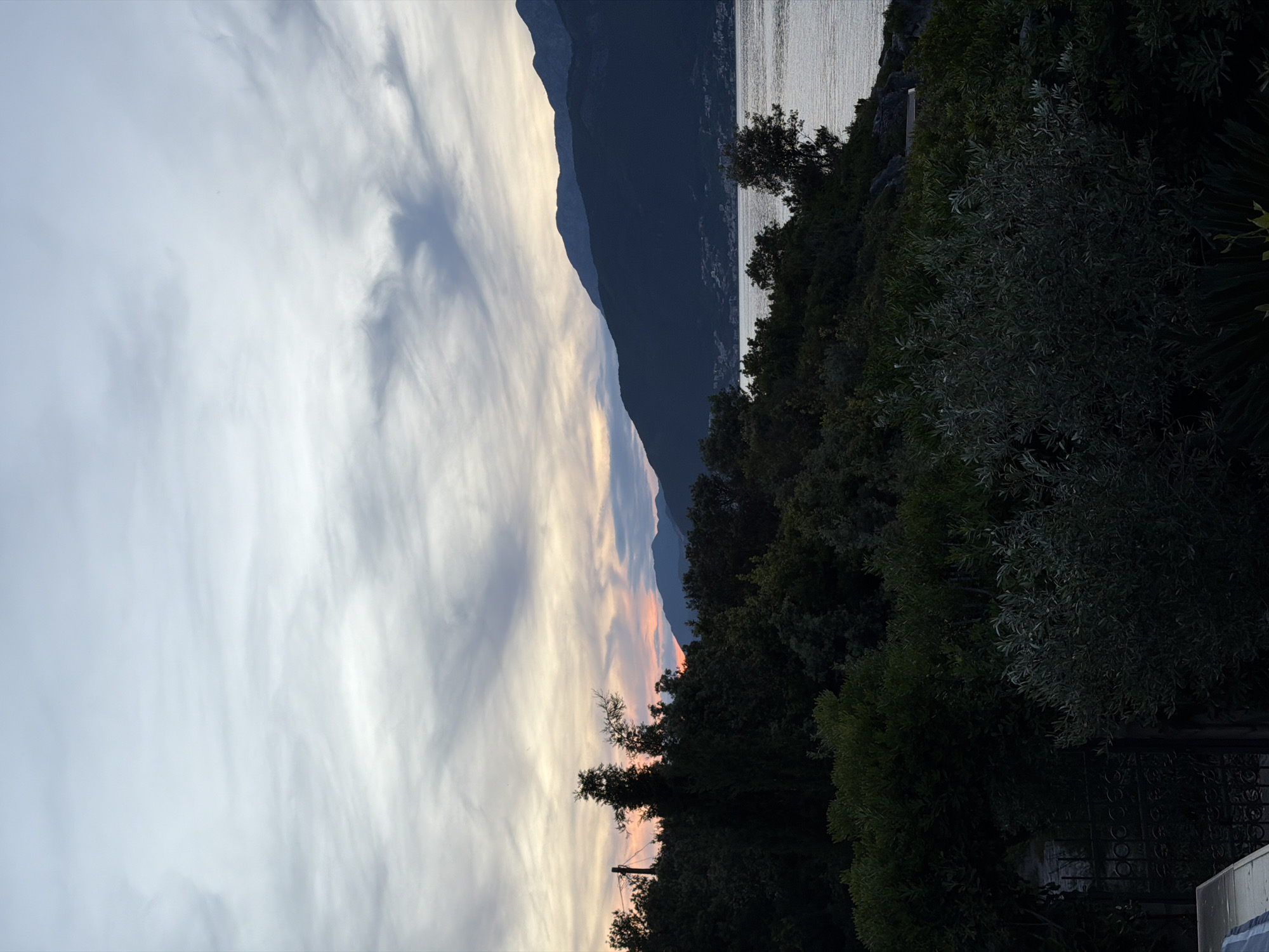 The image captures a sunset scene in Gošići, Montenegro. The sky exhibits wispy clouds illuminated with soft orange and golden hues from the setting sun. A dark, silhouetted mountain range forms a prominent backdrop to the left. The Adriatic Sea, with a shimmering, silvery surface, is visible towards the upper right. Dense, dark green vegetation dominates the foreground and right side of the image, obscuring much of the immediate ground. A wrought iron fence and a concrete wall fragment are present at the bottom right, suggesting a residential area. There are no people visible in the shot.