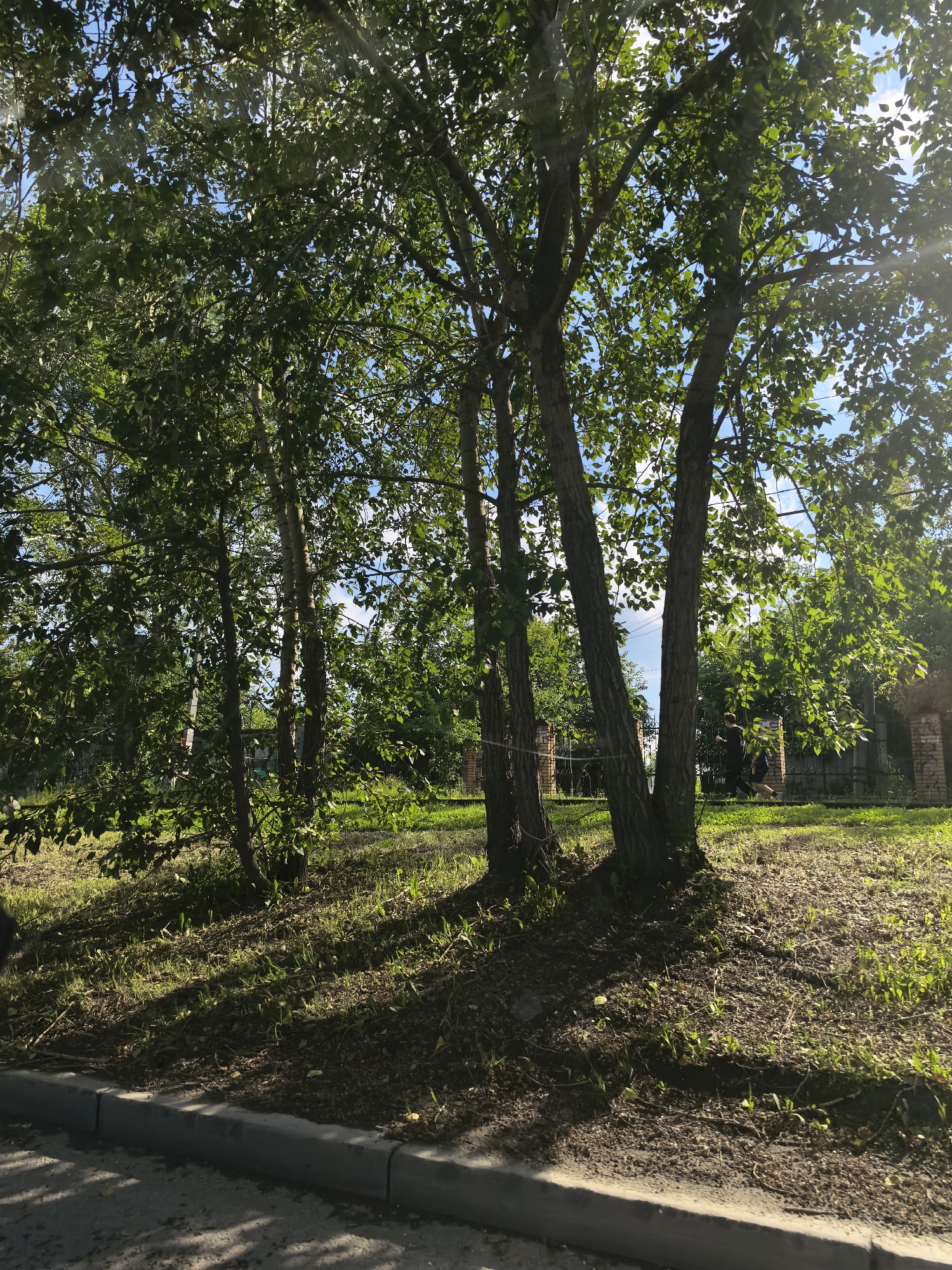 In the city of Unknown, Unknown, a sunny outdoor scene unfolds in front of a group of trees with lush green foliage. Sunlight filters through the leaves, casting dappled shadows on the ground. The foreground is dominated by a paved area with a concrete curb, suggesting the presence of a road or sidewalk. Beyond this, a grassy area dotted with patches of dry earth and small plants stretches towards the trees. In the background, a metal fence separates the grassy area from a brick structure, partially obscured by vegetation. Two individuals, one wearing dark clothing and the other with a darker backpack, are visible walking behind the fence. The sky above is a clear blue, with a few scattered white clouds.