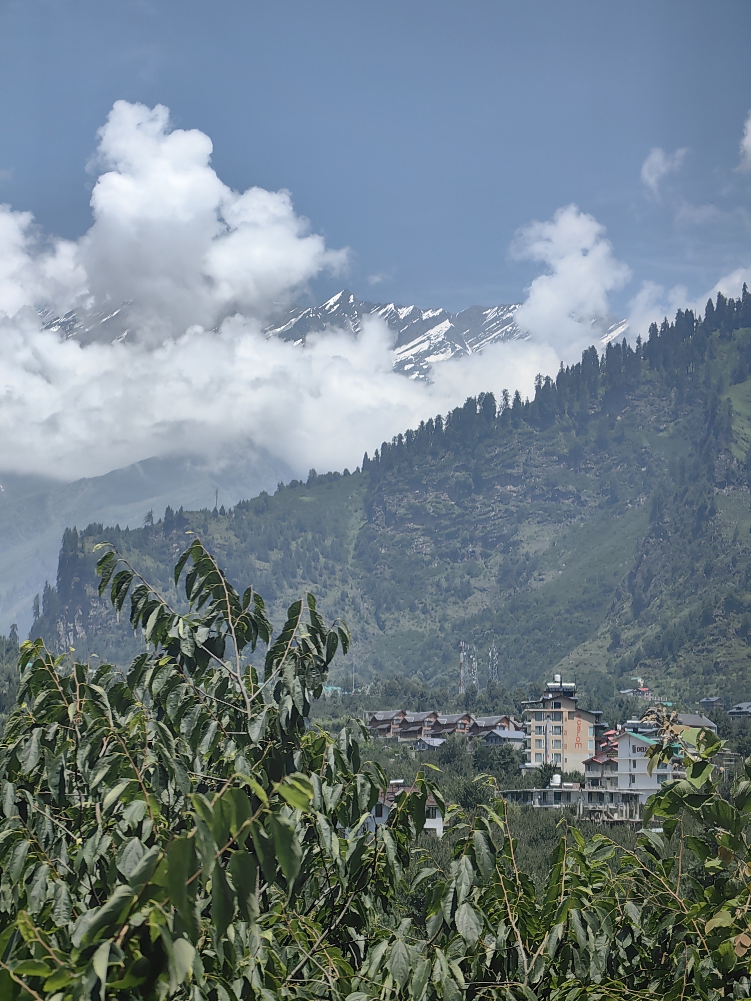 A high-angle shot shows a mountain landscape with snow-capped peaks in the background. The sky is blue with white clouds. The mountains are covered with evergreen trees. In the middle ground, there are buildings that appear to be hotels or resorts, nestled among the trees. In the foreground, there are large green leaves from a plant, partially obscuring the view of the buildings and mountains. The scene appears to be located in the city of Kullu, India, given the presence of the lush greenery and the architectural style of the buildings, which are typical of Himalayan hill stations. The overall impression is one of natural beauty and a peaceful vacation destination.