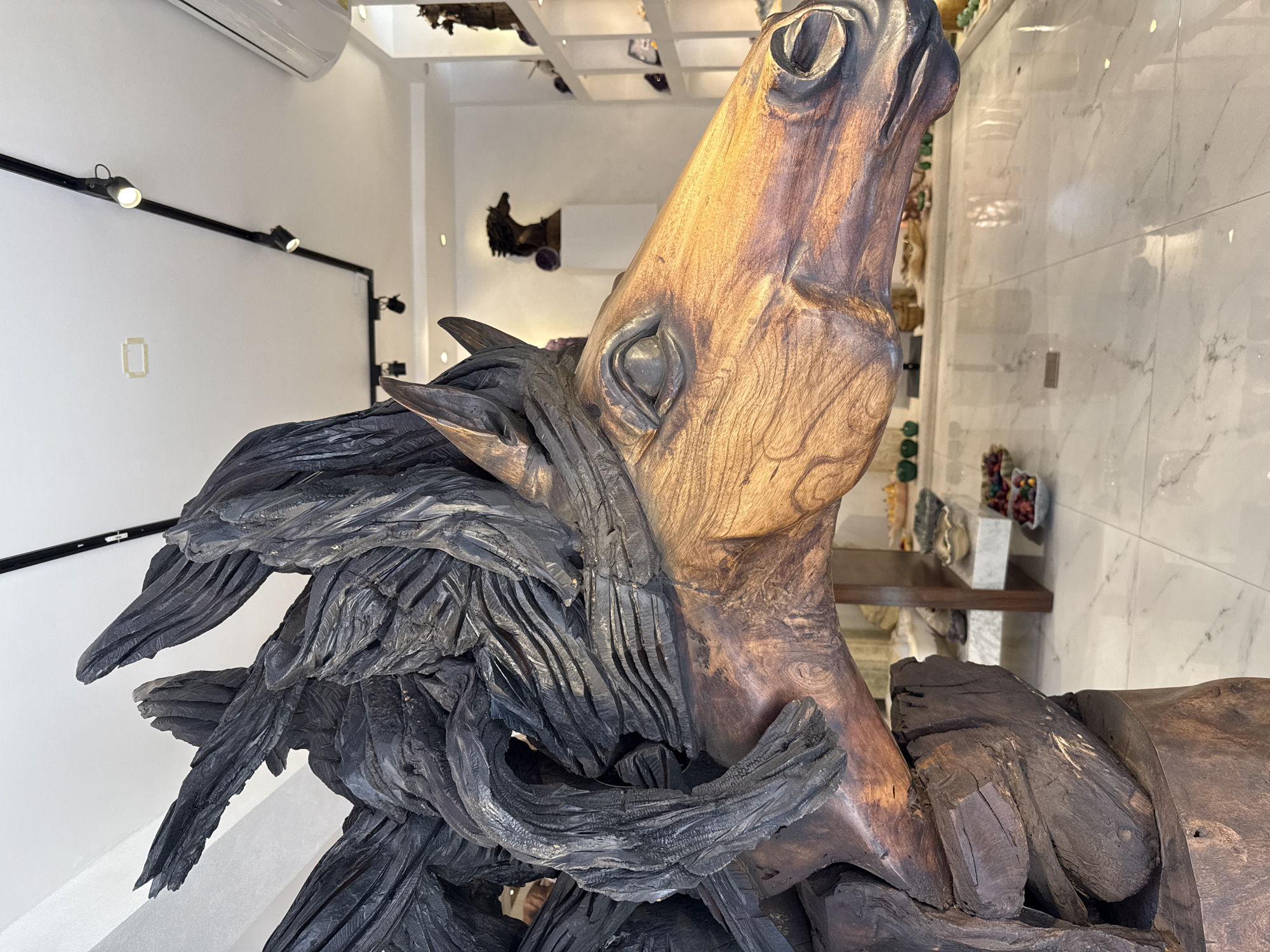 The image captures a close-up, side profile view of a large, intricately carved wooden sculpture of a horse's head with wings, reminiscent of Pegasus. The sculpture is made from two distinct types of wood: a lighter, polished wood for the horse's face and a darker, rougher wood for the mane and wings, giving a contrasting texture. The horse's eye is detailed, and its muzzle is expressive. The sculpture is positioned in what appears to be an art gallery or boutique, possibly in San Miguel de Allende, Mexico, given the architectural style visible in the background.
The environment features bright, modern lighting from track lights on a white ceiling. In the background, shelves are visible displaying various decorative items, including what appear to be crystals or polished stones, bowls containing colorful objects, and other smaller sculptures, including another horse head. The floor is tiled with large, reflective white marble tiles. The overall impression is of a well-lit, upscale retail space showcasing artisanal crafts. There are no people visible in the frame. The camera angle emphasizes the detail and scale of the main sculpture.