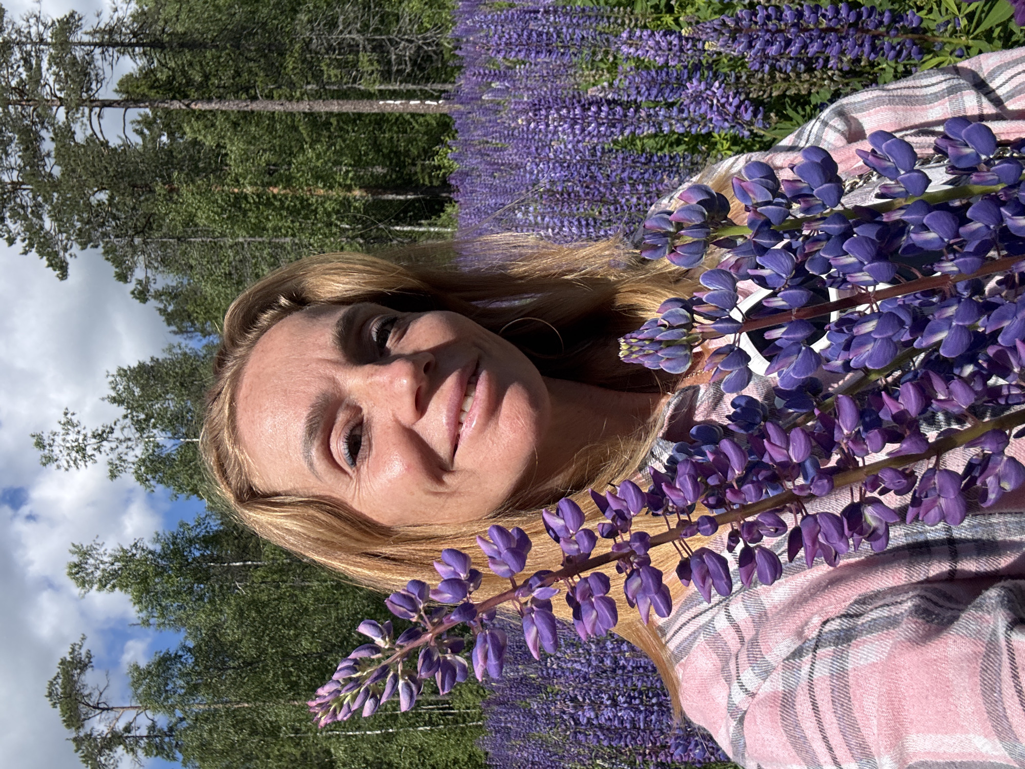 A blonde woman is standing in a field of purple lupine flowers, holding a stalk of lupine. She is wearing a pink and gray plaid shirt. In the background, there is a forest and a blue sky with white clouds. The image appears to be taken on a sunny day.