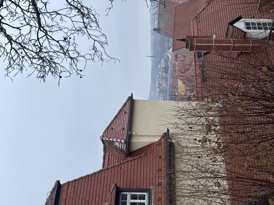 The image depicts an elevated view of the city of Meissen, Germany, under an overcast, gray sky, indicative of a cool or cold day. In the upper right quadrant, bare branches of a deciduous tree, possibly a plane tree, extend into the frame, displaying several dark, spherical seed pods.
In the left foreground, the upper section of a building with a multi-gabled, red-tiled roof is visible. A white-framed, multi-pane dormer window is present on one of its sloped sections. The building's wall beneath the roofline is a light cream or pale yellow hue, featuring a vertical downspout. A light dusting of snow or frost is visible on some of the red roof tiles of this structure.
The midground is densely packed with numerous buildings, all featuring variations of red-tiled roofs. Some sparse, bare deciduous bushes with minimal remaining foliage are situated between the foreground building and these midground structures. A distinctive, light red brick chimney with a decorative, pointed cap is prominent on one of the midground roofs in the lower right section, above another white-framed dormer window.
In the background, the broader cityscape of Meissen extends into the distance, characterized by more red-tiled roofs and scattered trees. A tall, slender church spire rises above the distant urban landscape, serving as a prominent landmark. No individuals or active movements are discernible in the scene.
