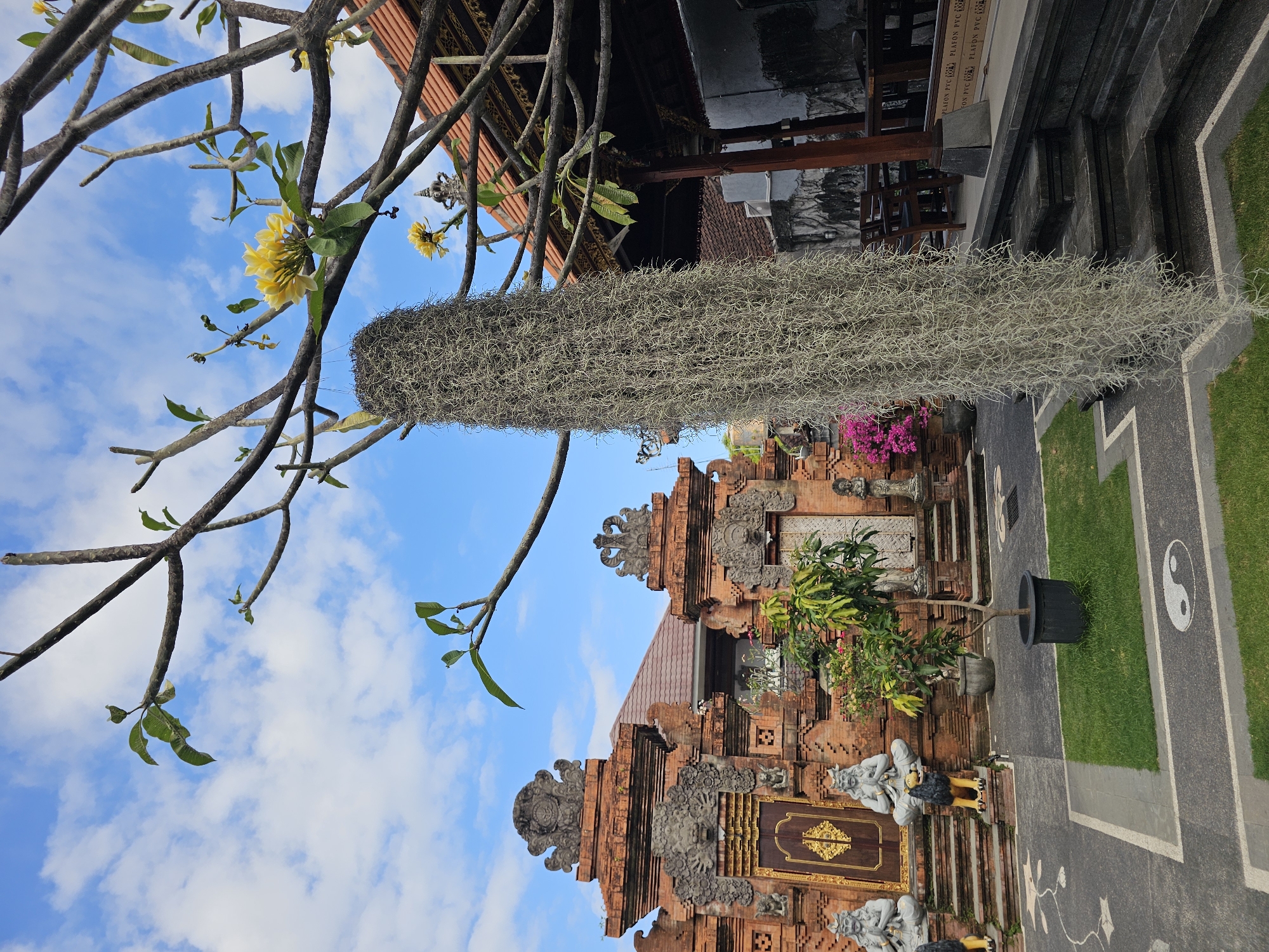 The image depicts an outdoor courtyard scene in Denpasar, Indonesia. The focal point is a traditional Balinese building constructed with red brick, featuring ornate architectural details, carved figures, and wooden doors. In the foreground, a large, hanging mass of Tillandsia usneoides (Spanish moss) drapes from a tree branch, obscuring a portion of the building. A small tree in a pot and a patch of green grass with a yin-yang symbol embedded in the pavement are also visible in the courtyard. The sky is blue with scattered white clouds.