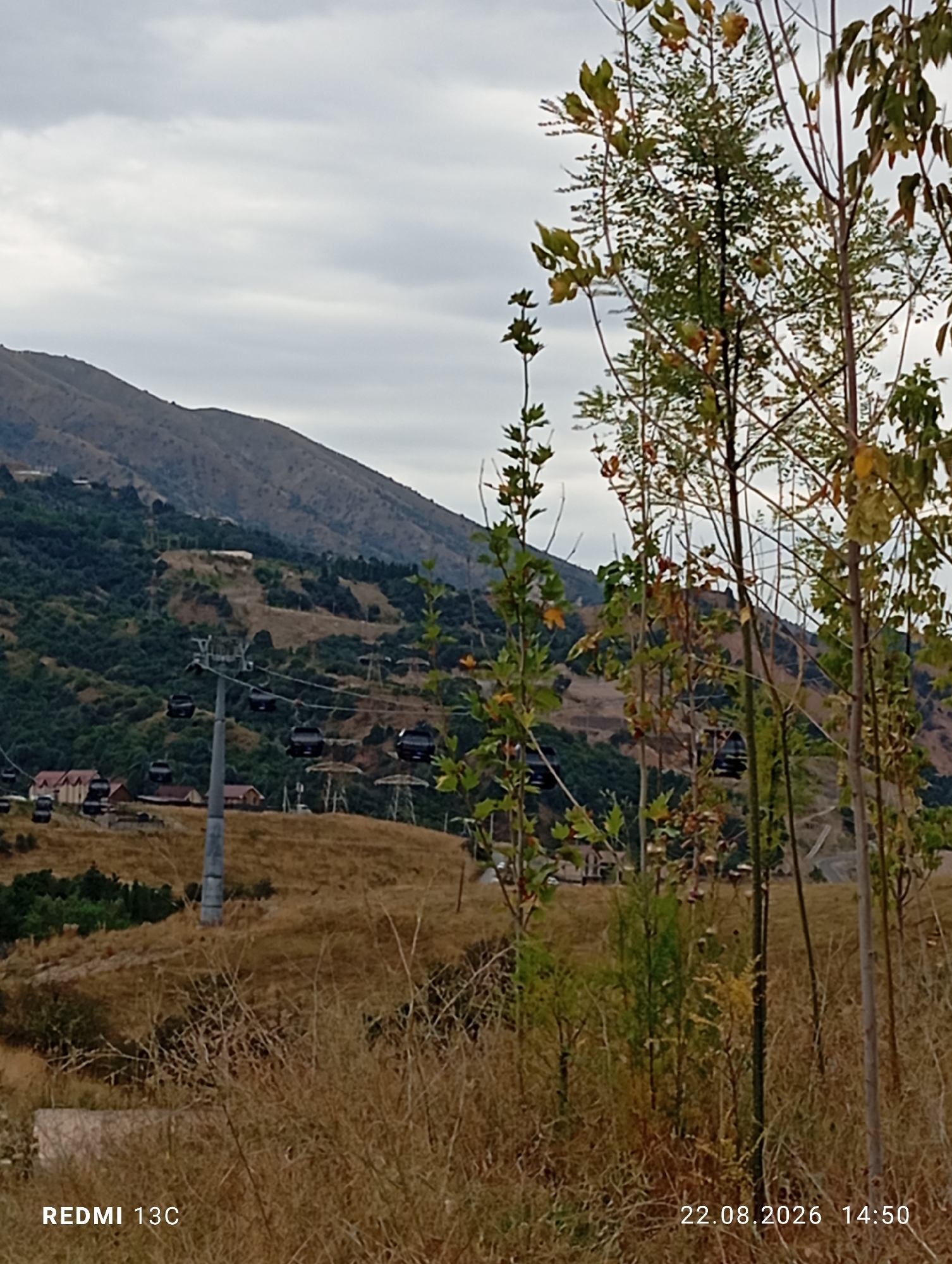 The image captures a scenic view in Amirsay, Uzbekistan, featuring a cable car system ascending a lush, green mountainside under a cloudy sky. The cable cars are visible as black pods suspended from wires, moving along the route. The foreground is dominated by dry, yellowed grass and several young trees with some autumn foliage. In the mid-ground, there are scattered buildings and the cable car infrastructure. The background consists of a steep, undulating mountain slope covered in vegetation, with a clear path or road winding up its side. The overall impression is one of a recreational or tourist area nestled within a natural mountain landscape. The bottom left of the image displays the text "REDMI 13C", and the bottom right shows "22.08.2026 14:50", indicating the device and date/time of capture.