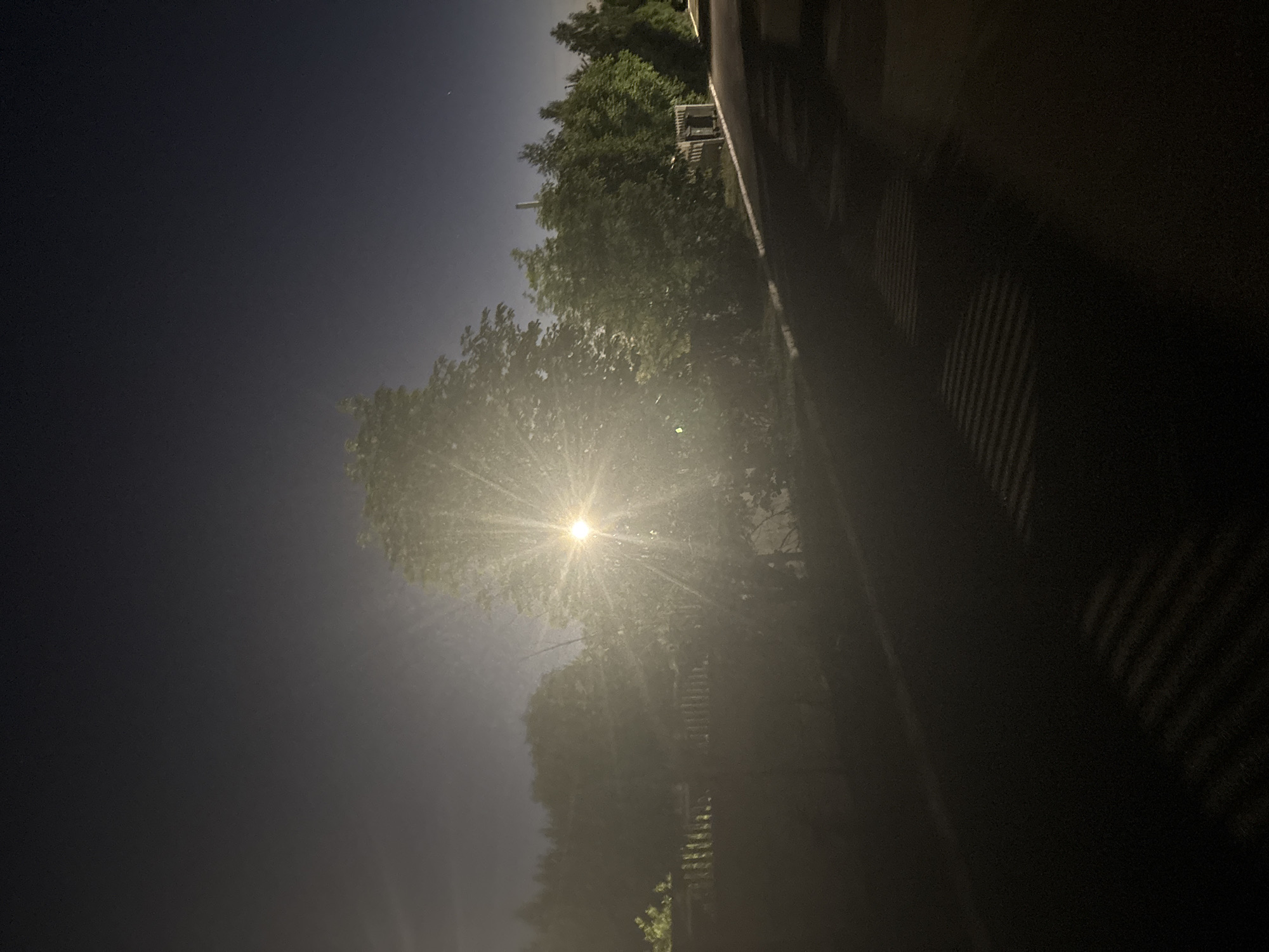 A streetlamp casts a bright, starburst glow through the leaves of a large tree on the right side of the image. The scene is at night, with a dark sky and a faint haze. A road or path curves from the foreground, disappearing into the shadows. To the left of the tree, a wooden fence is visible, partially obscured by foliage. The background is filled with more trees, suggesting a park or wooded area. Shadows from the streetlamp create distinct parallel lines on the road surface. The overall impression is a quiet, potentially rural or suburban nighttime streetscape. The location of Orekhovka, Russia, is not discernible from the visual elements of the image itself.