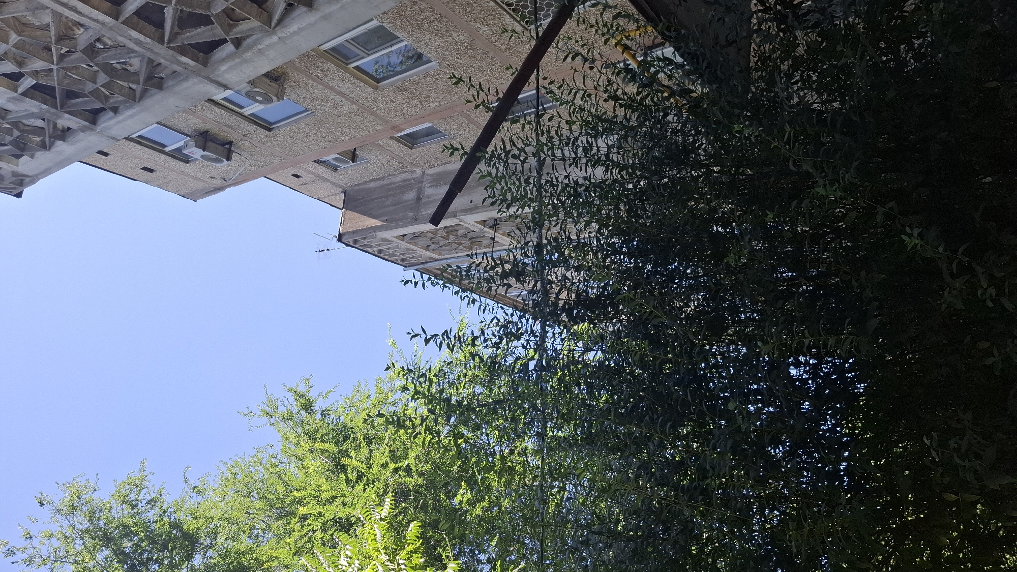 The image captures a low-angle view of a concrete apartment building with visible air conditioning units and windows, partially obscured by lush green foliage from trees and bushes. The sky above is clear and blue, suggesting a sunny day. A rusty metal pole extends diagonally across the scene, emerging from the dense greenery and passing in front of the building's facade. The architecture of the building features a unique patterned concrete facade on its upper section. This scene is located in Shymkent, Kazakhstan.