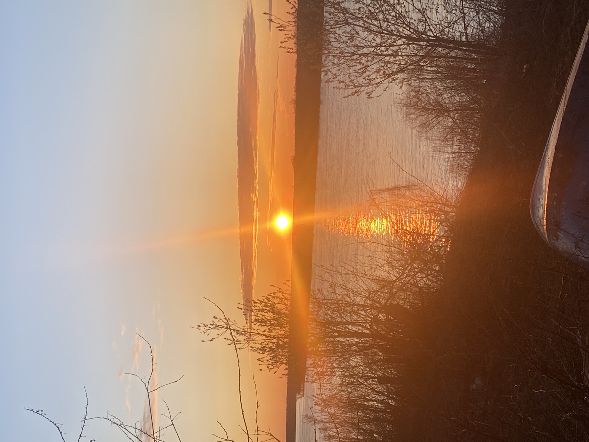 A serene landscape captures a sunset over a body of water, possibly a lake or wide river. The sun, a bright orb, is positioned near the center of the frame, with its light reflecting off the water's surface in a shimmering trail. Silhouetted trees and shrubs occupy the foreground, creating a natural frame for the sunset. A portion of a boat hull is visible on the right edge. The sky is a gradient of colors, transitioning from a pale blue to a warm orange as it approaches the horizon. The location is inferred to be in or near Ольховка, Russia based on the query.